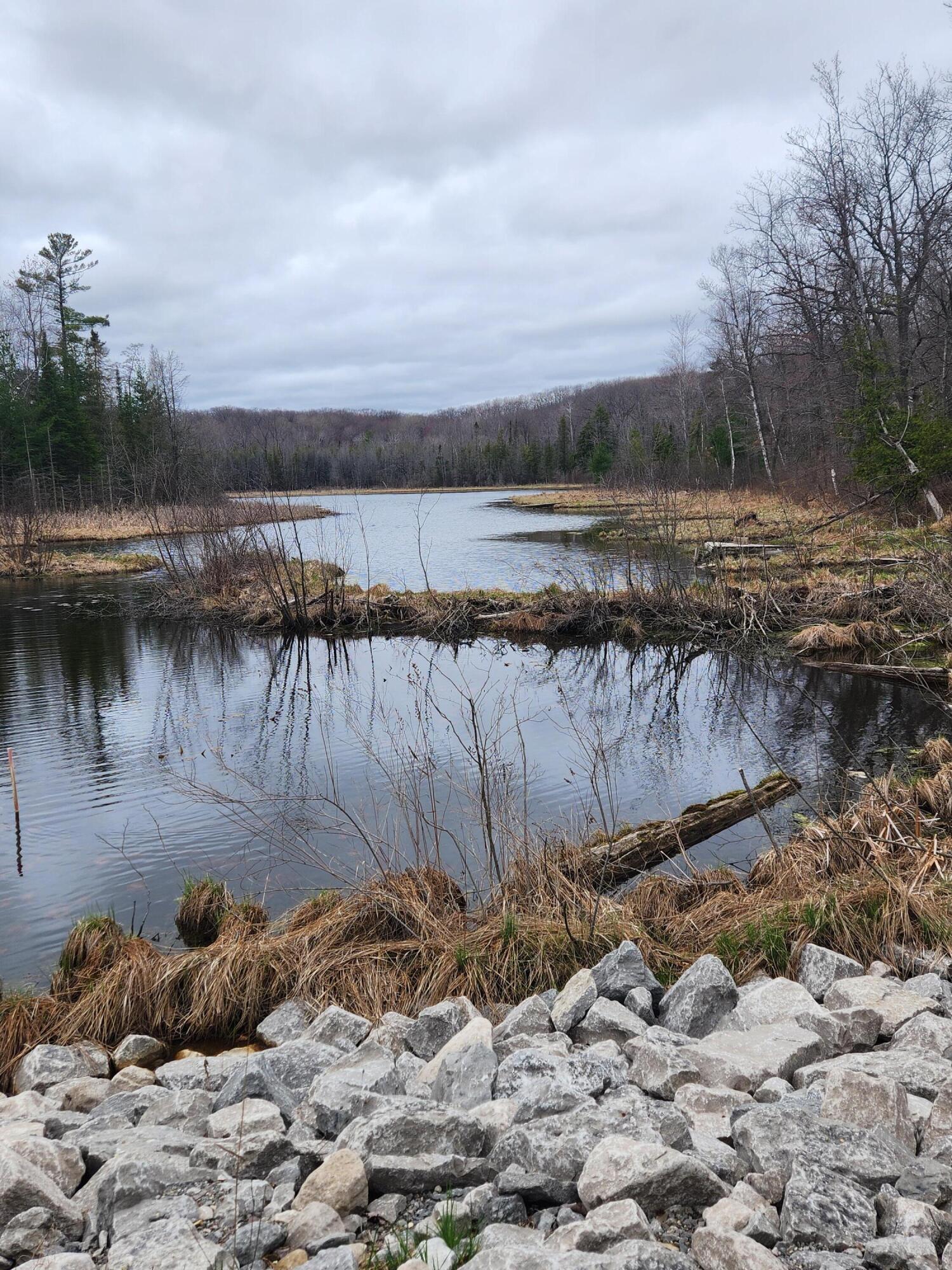 11401 Little George Lake Road Property Photo 53