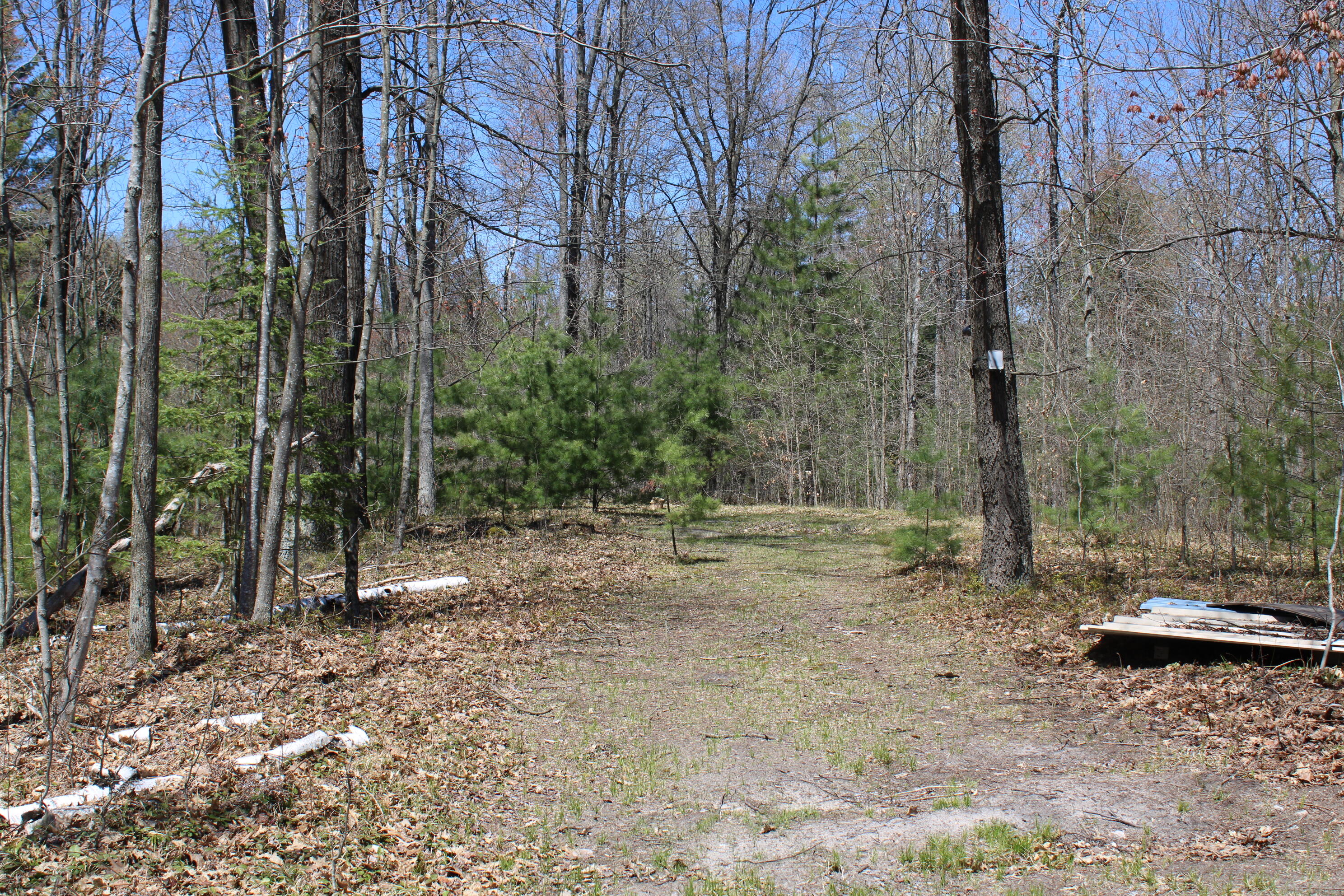 11401 Little George Lake Road Property Photo 55