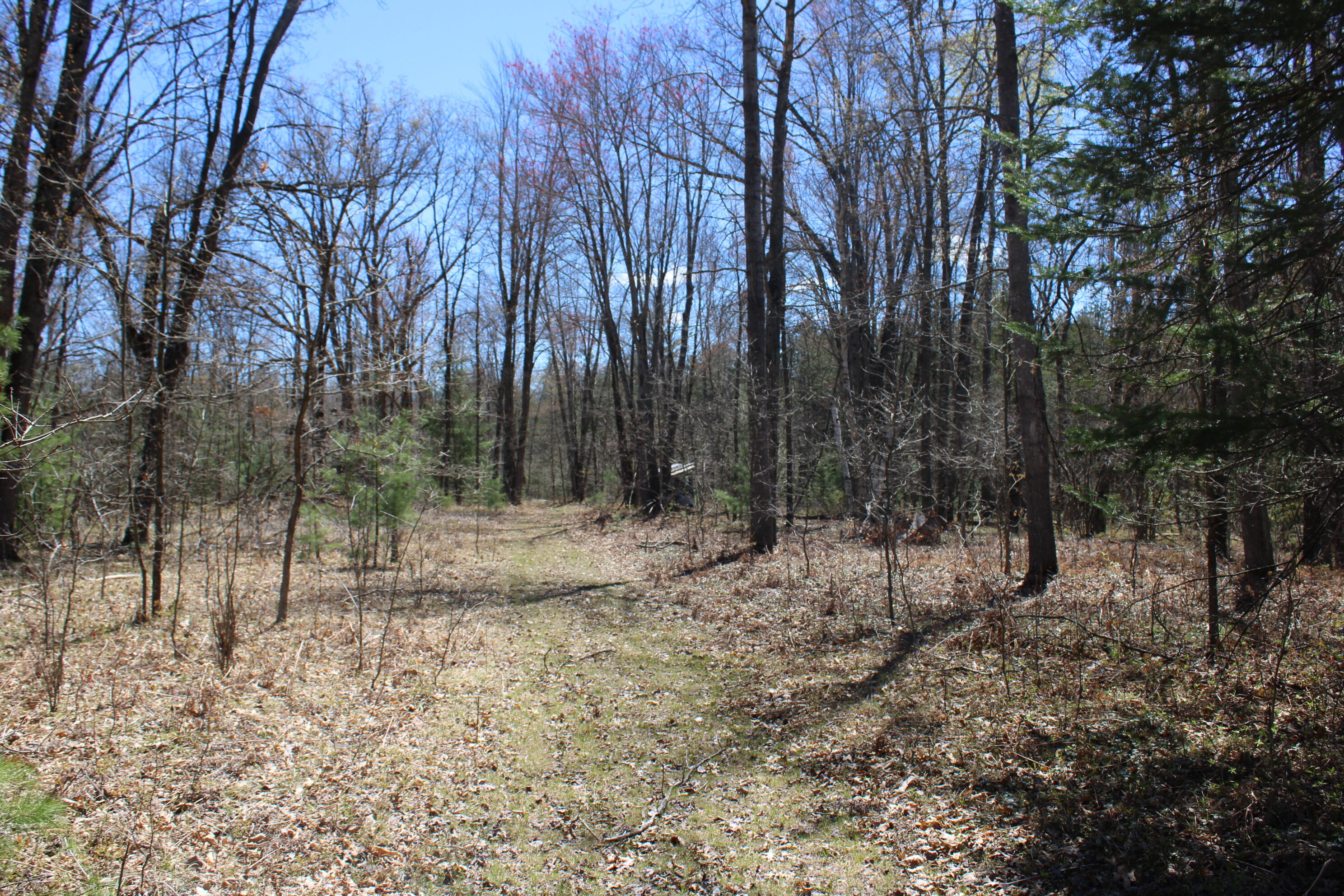 11401 Little George Lake Road Property Photo 56