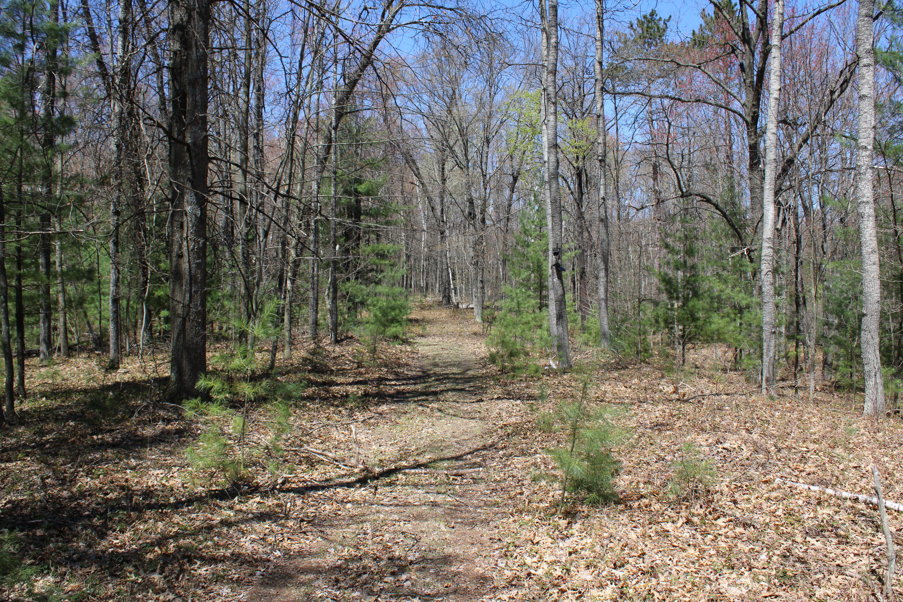 11401 Little George Lake Road Property Photo 57