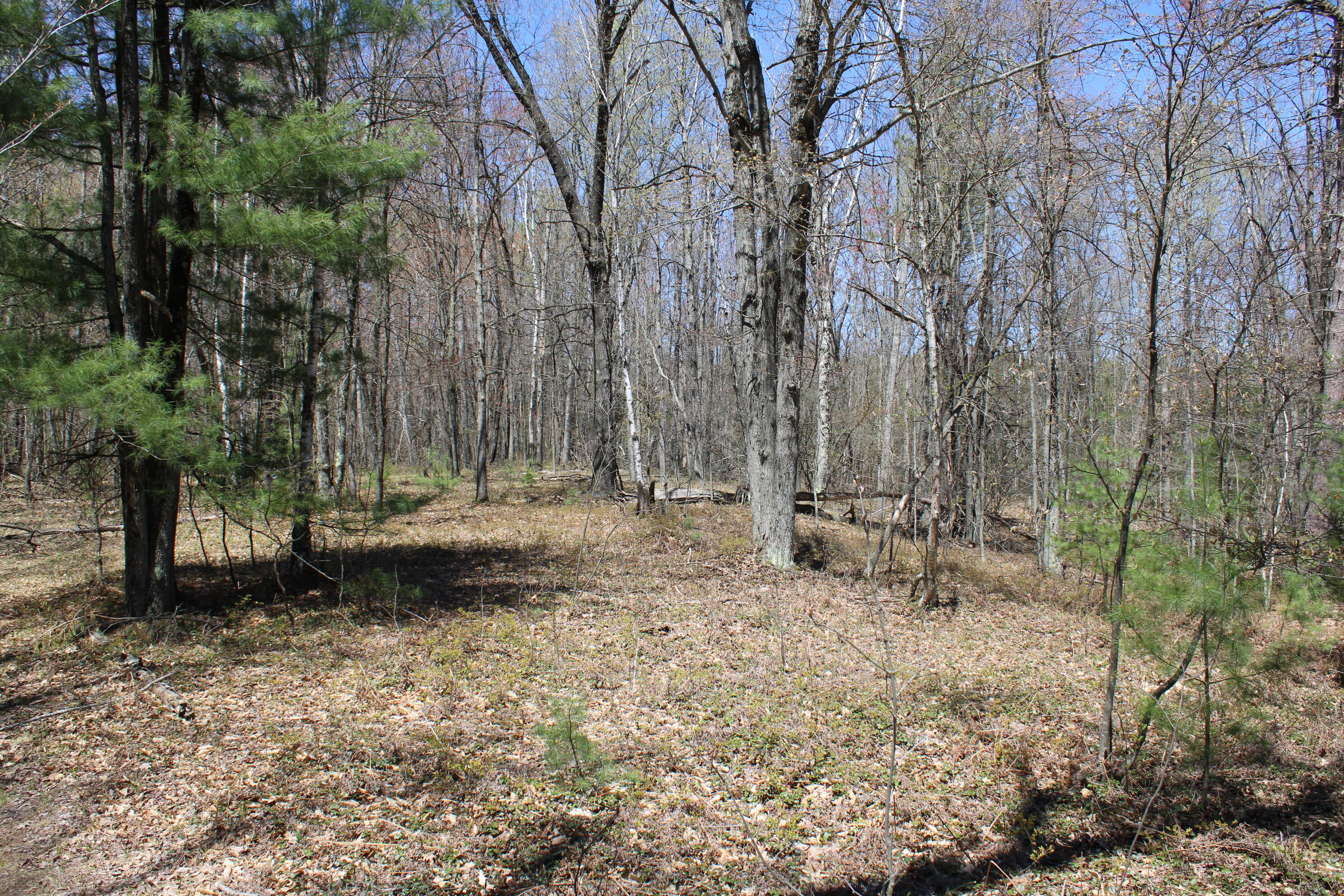 11401 Little George Lake Road Property Photo 58