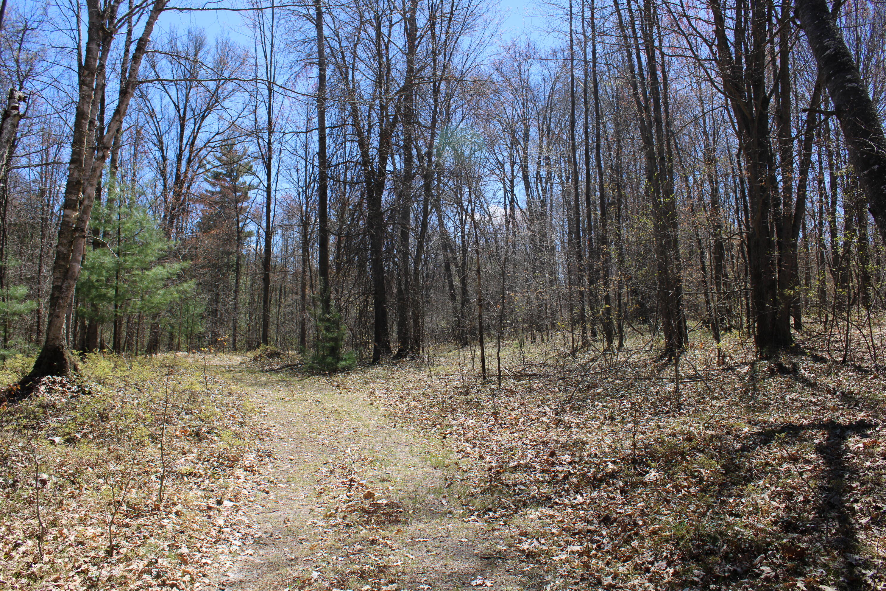 11401 Little George Lake Road Property Photo 59