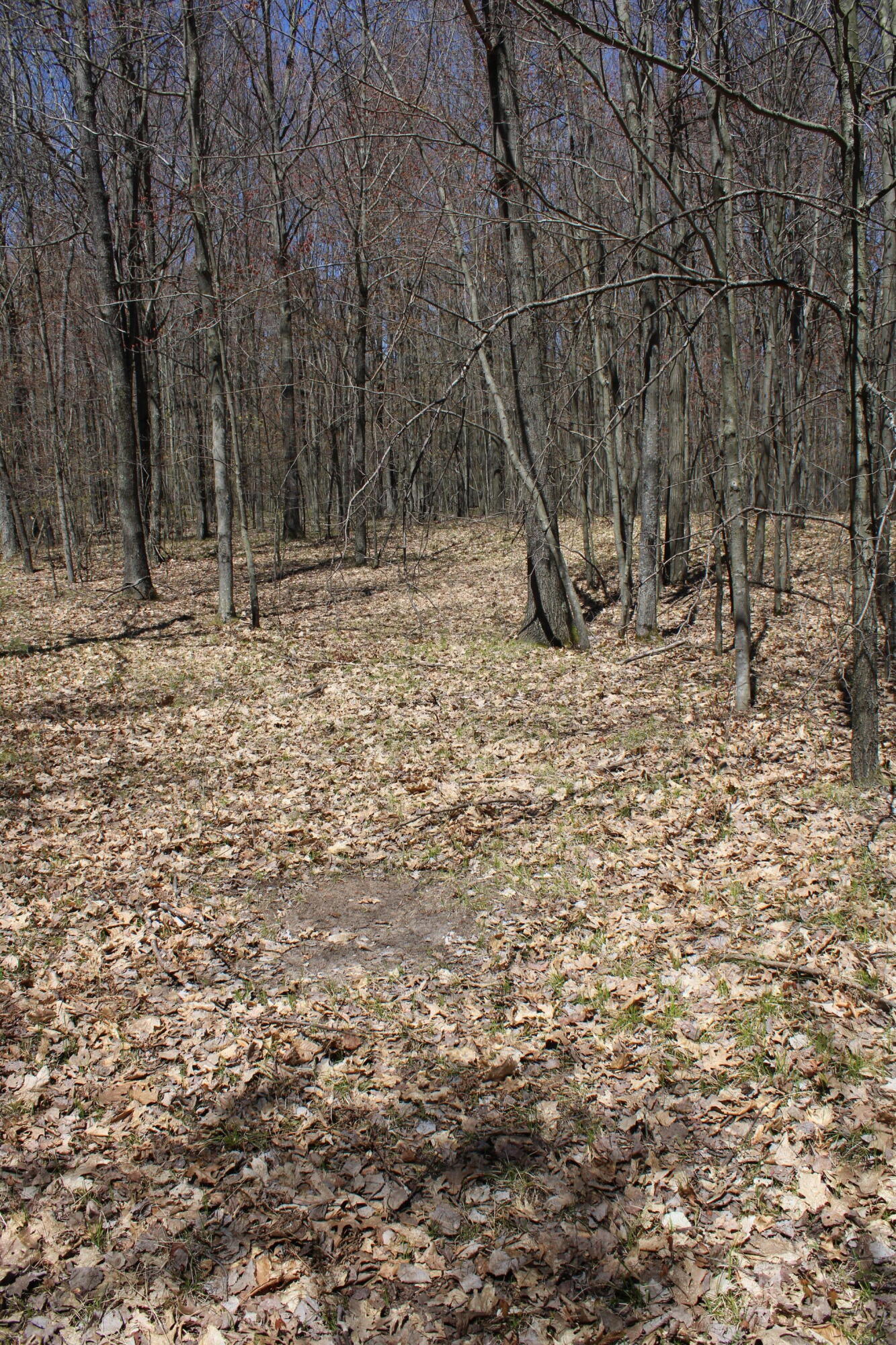 11401 Little George Lake Road Property Photo 62