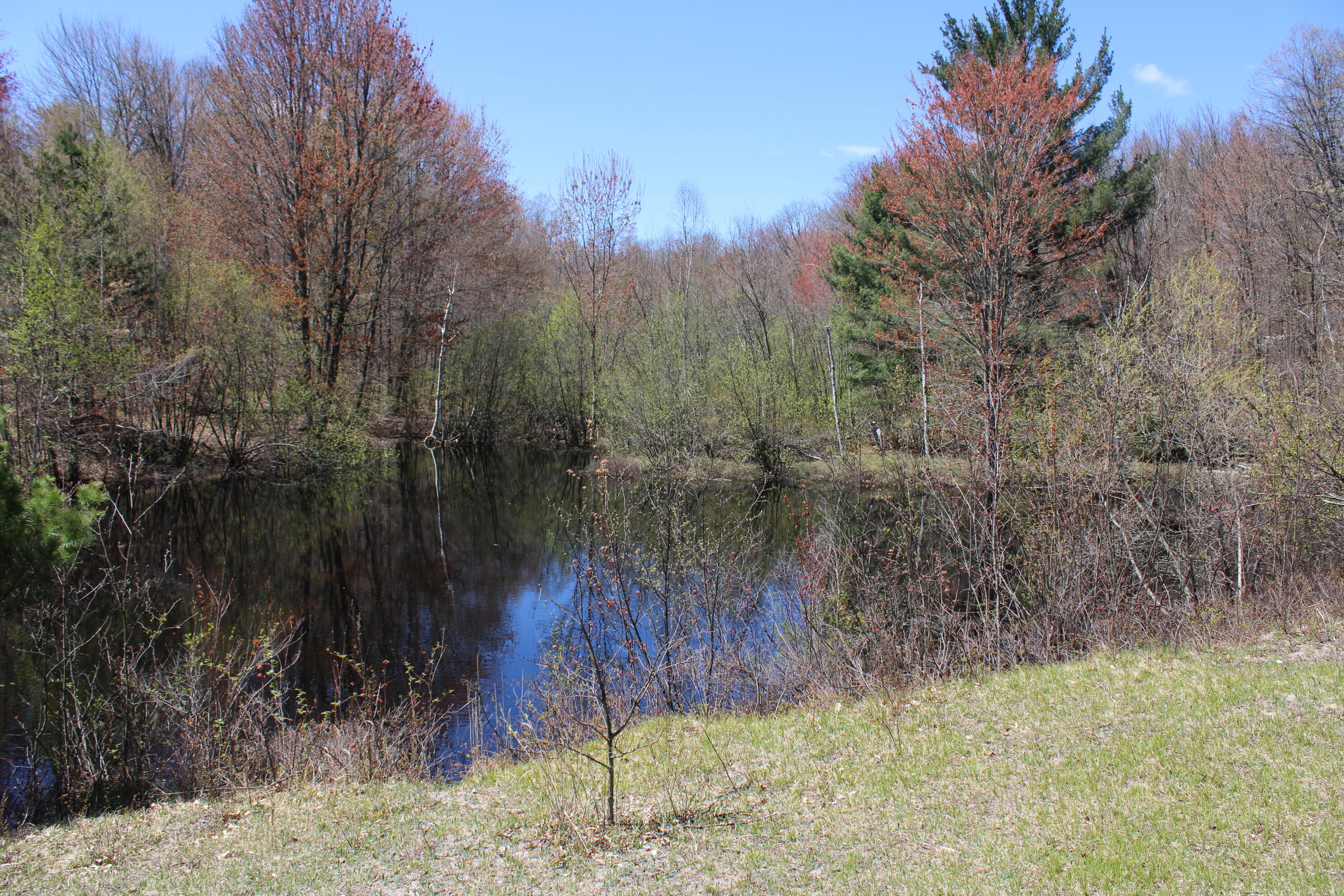 11401 Little George Lake Road Property Photo 63