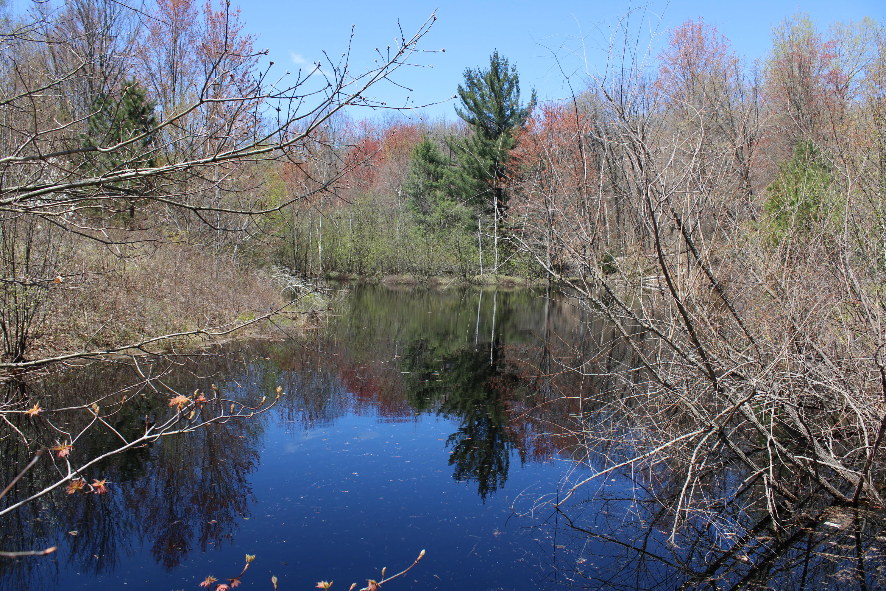11401 Little George Lake Road Property Photo 64