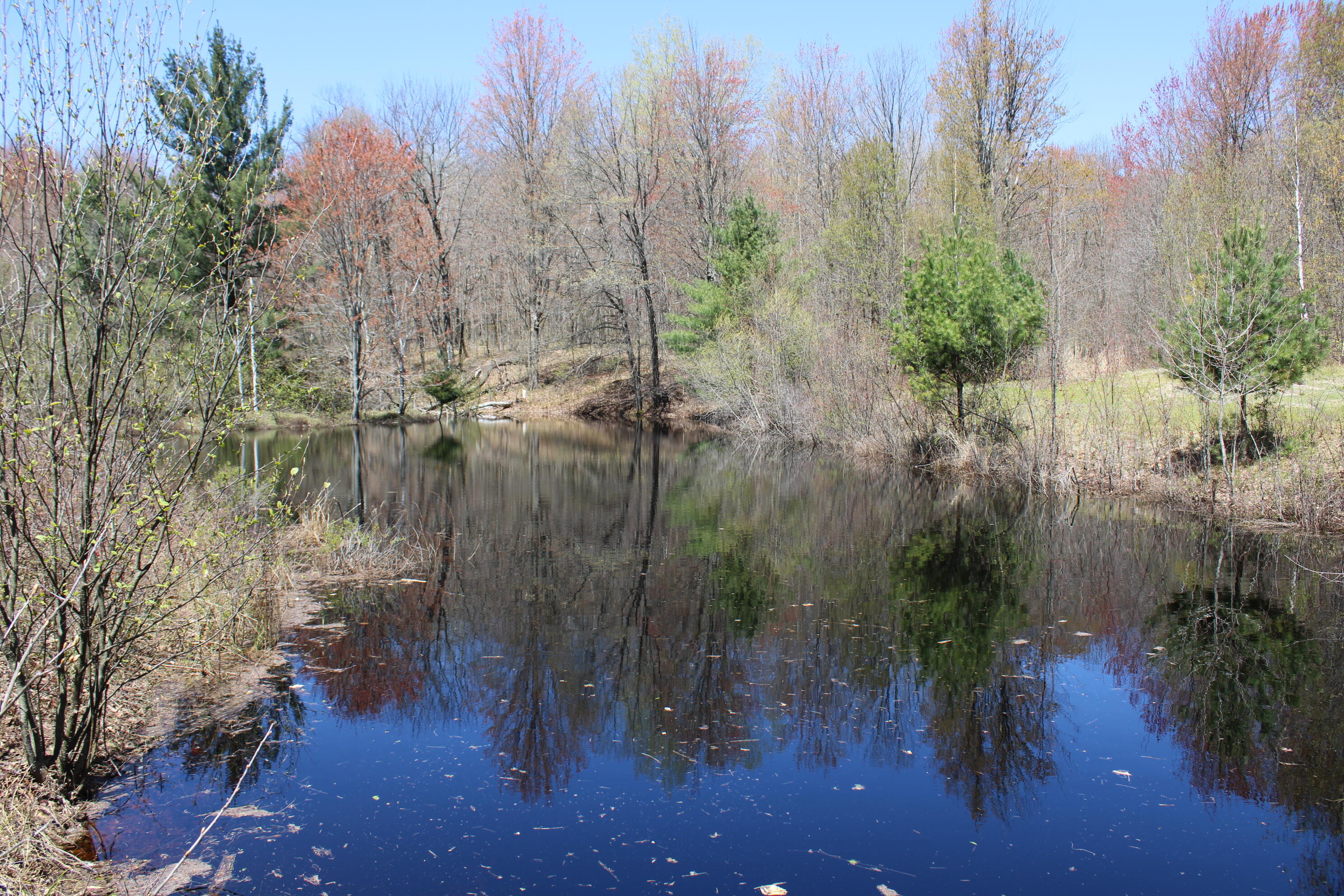 11401 Little George Lake Road Property Photo 65