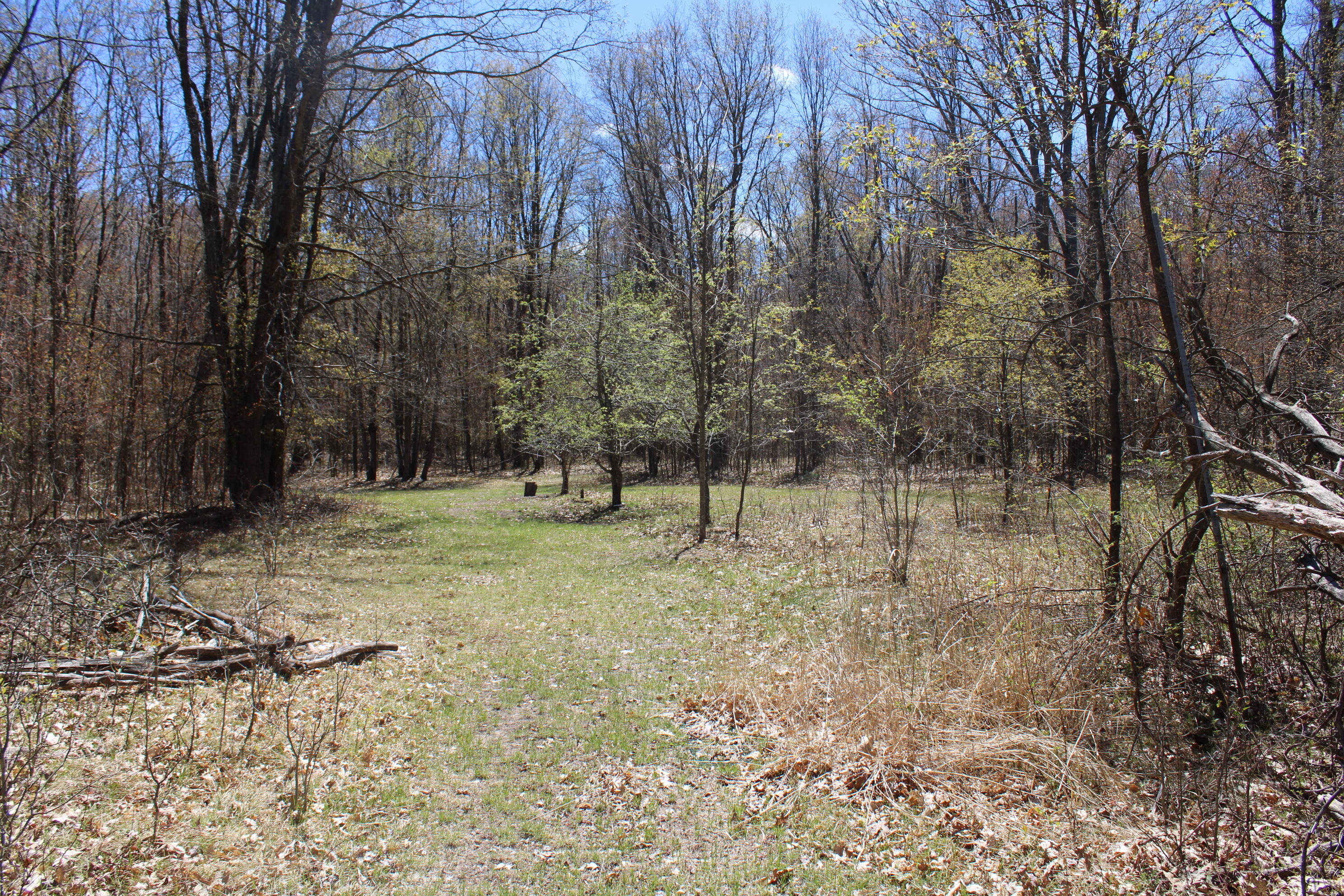 11401 Little George Lake Road Property Photo 66