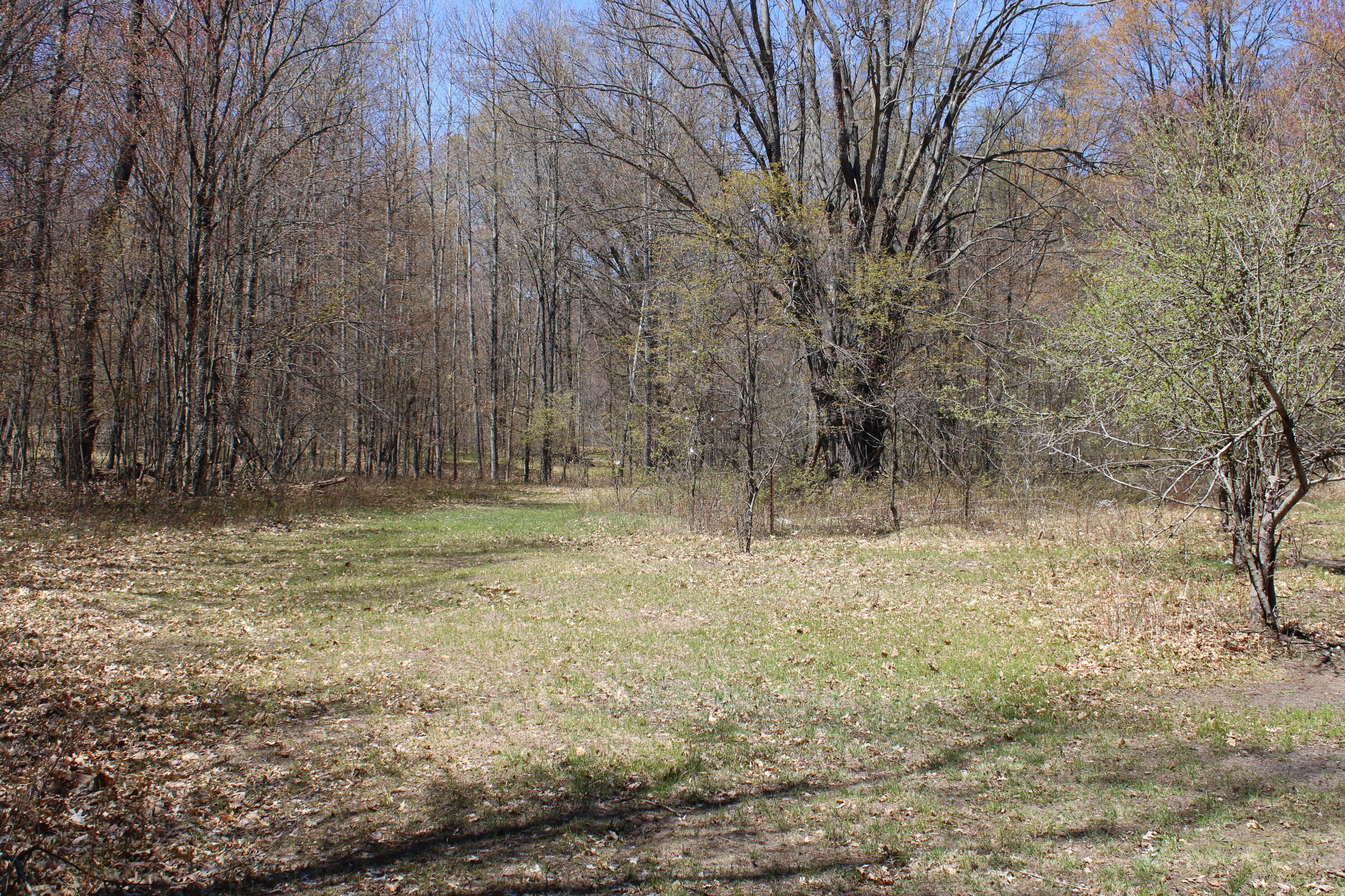 11401 Little George Lake Road Property Photo 67