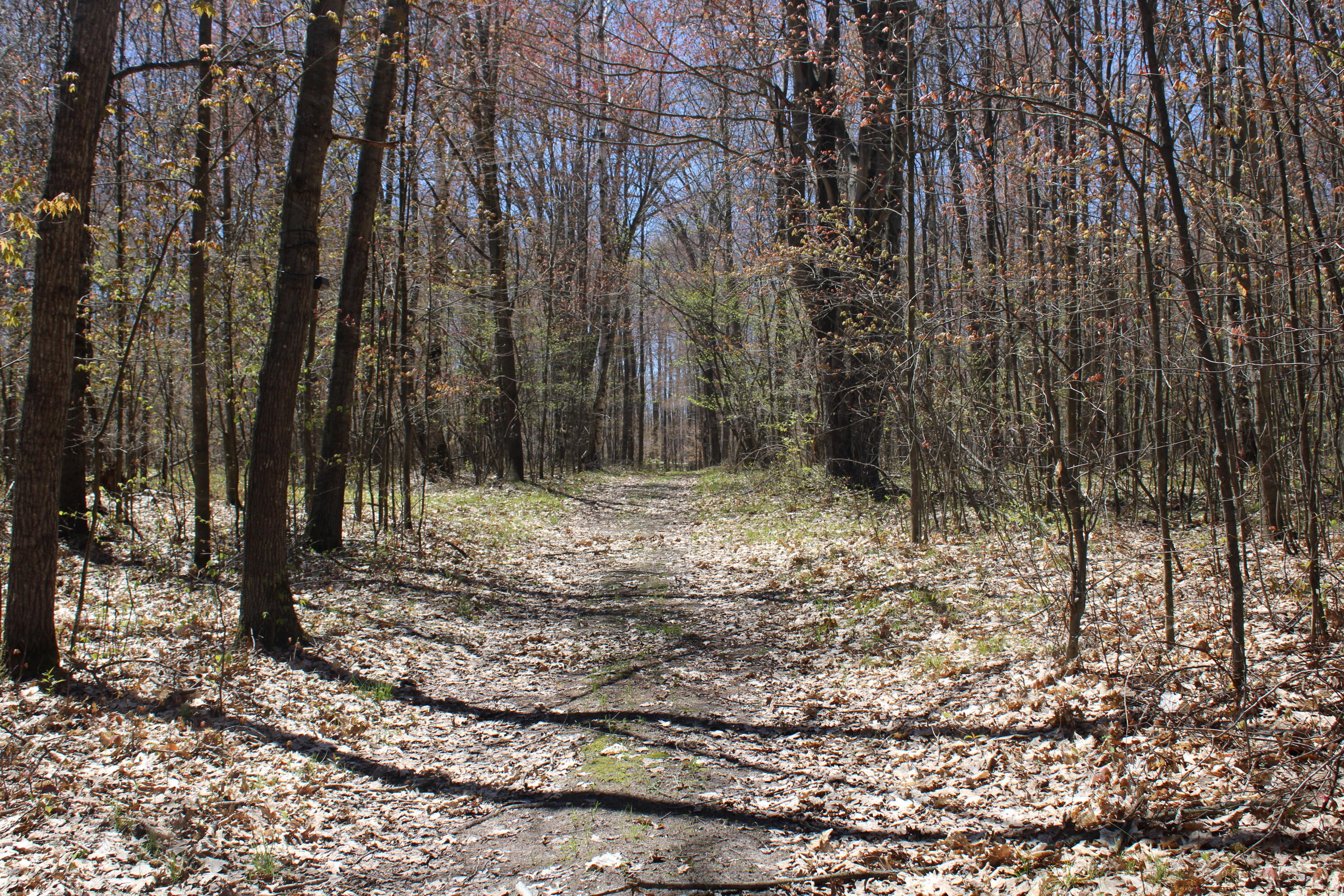 11401 Little George Lake Road Property Photo 68