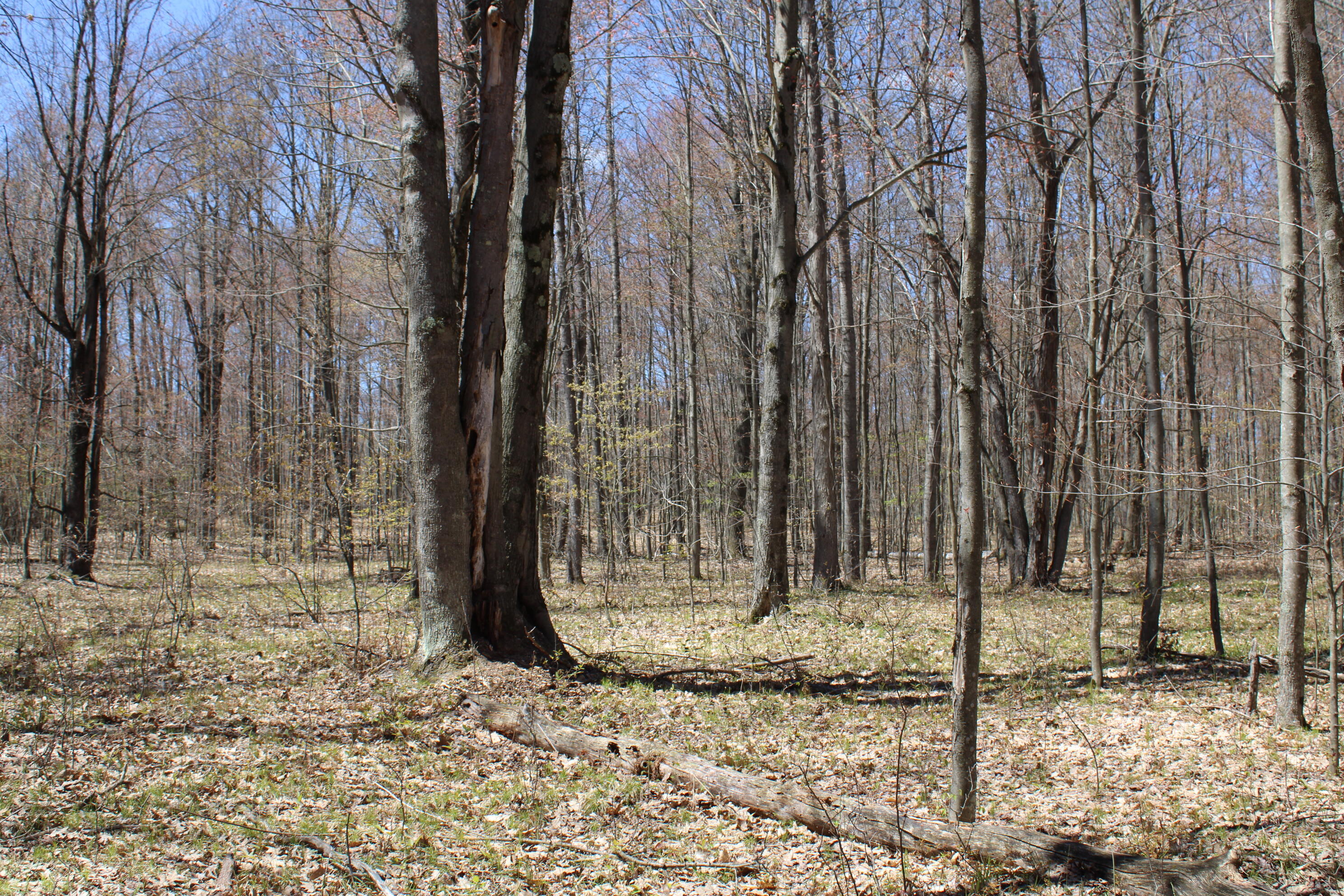 11401 Little George Lake Road Property Photo 69