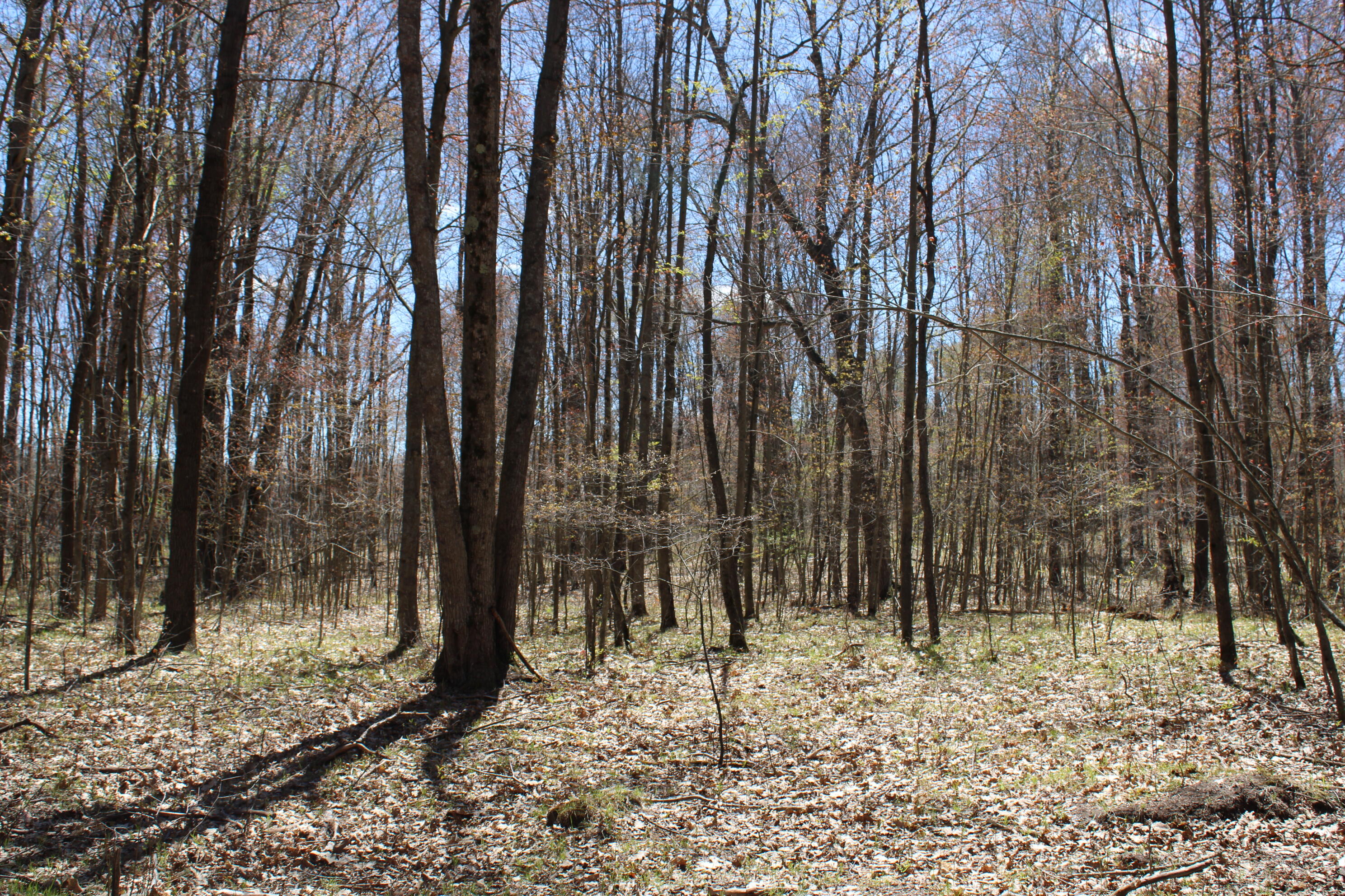 11401 Little George Lake Road Property Photo 70