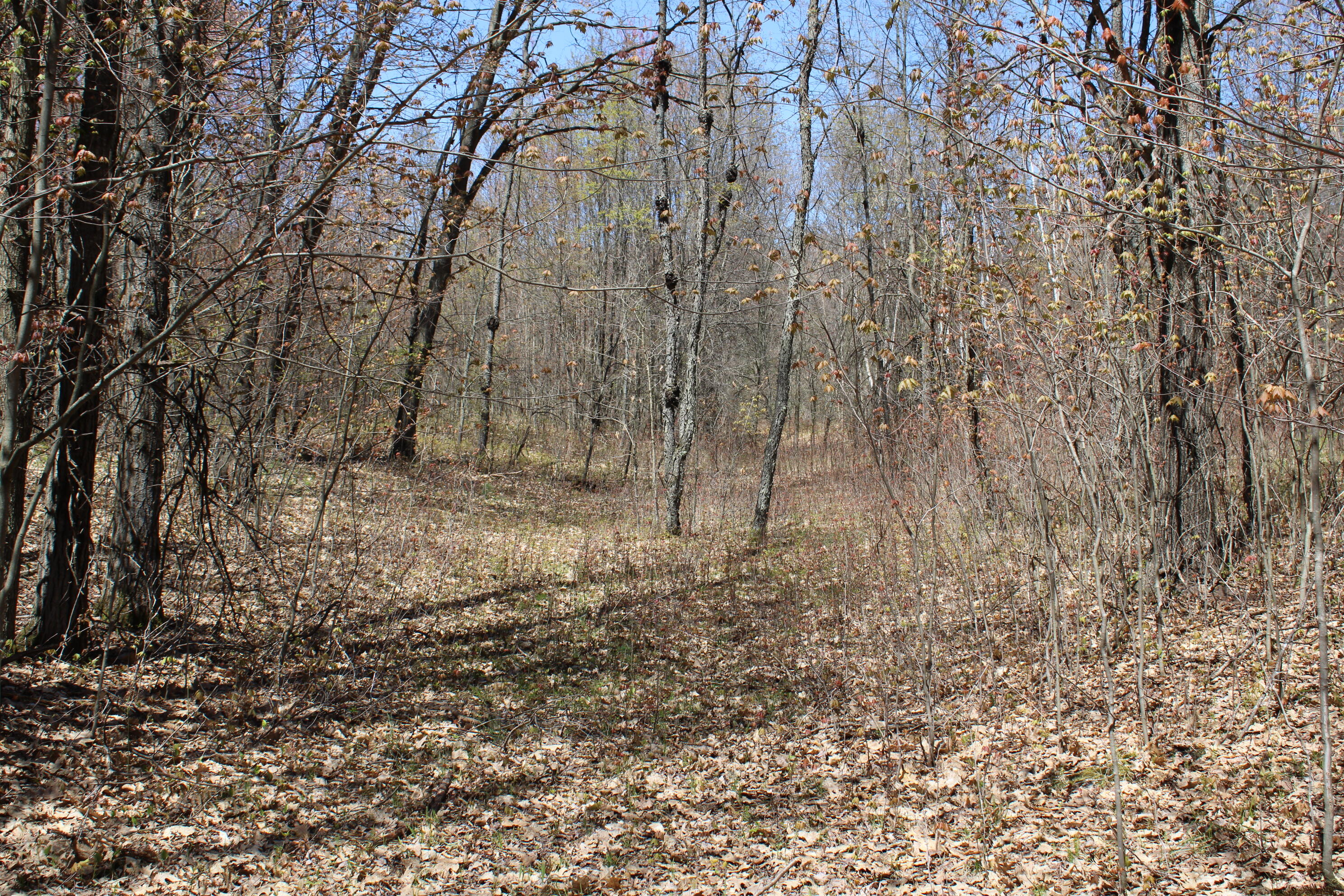 11401 Little George Lake Road Property Photo 71