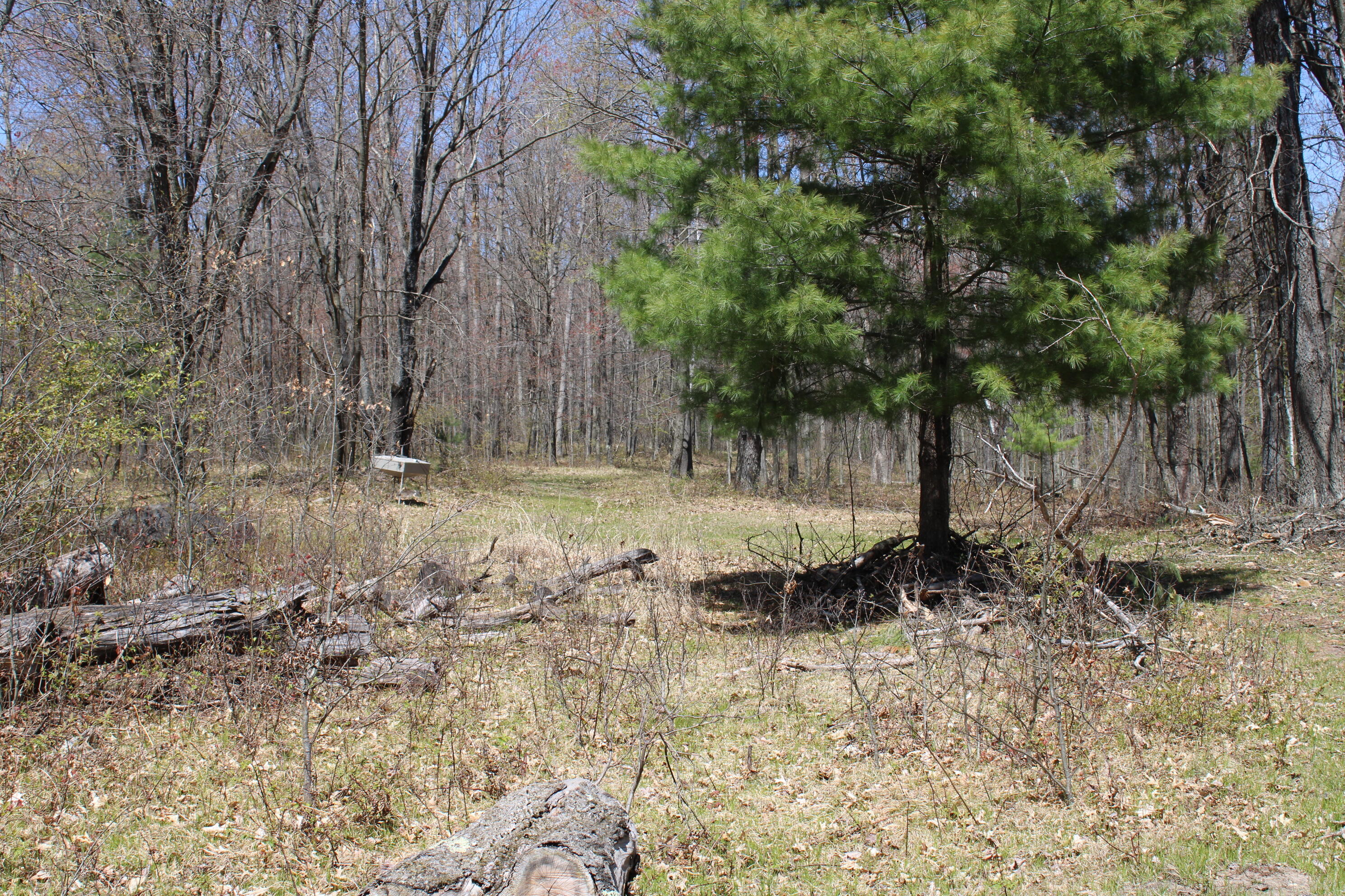 11401 Little George Lake Road Property Photo 73
