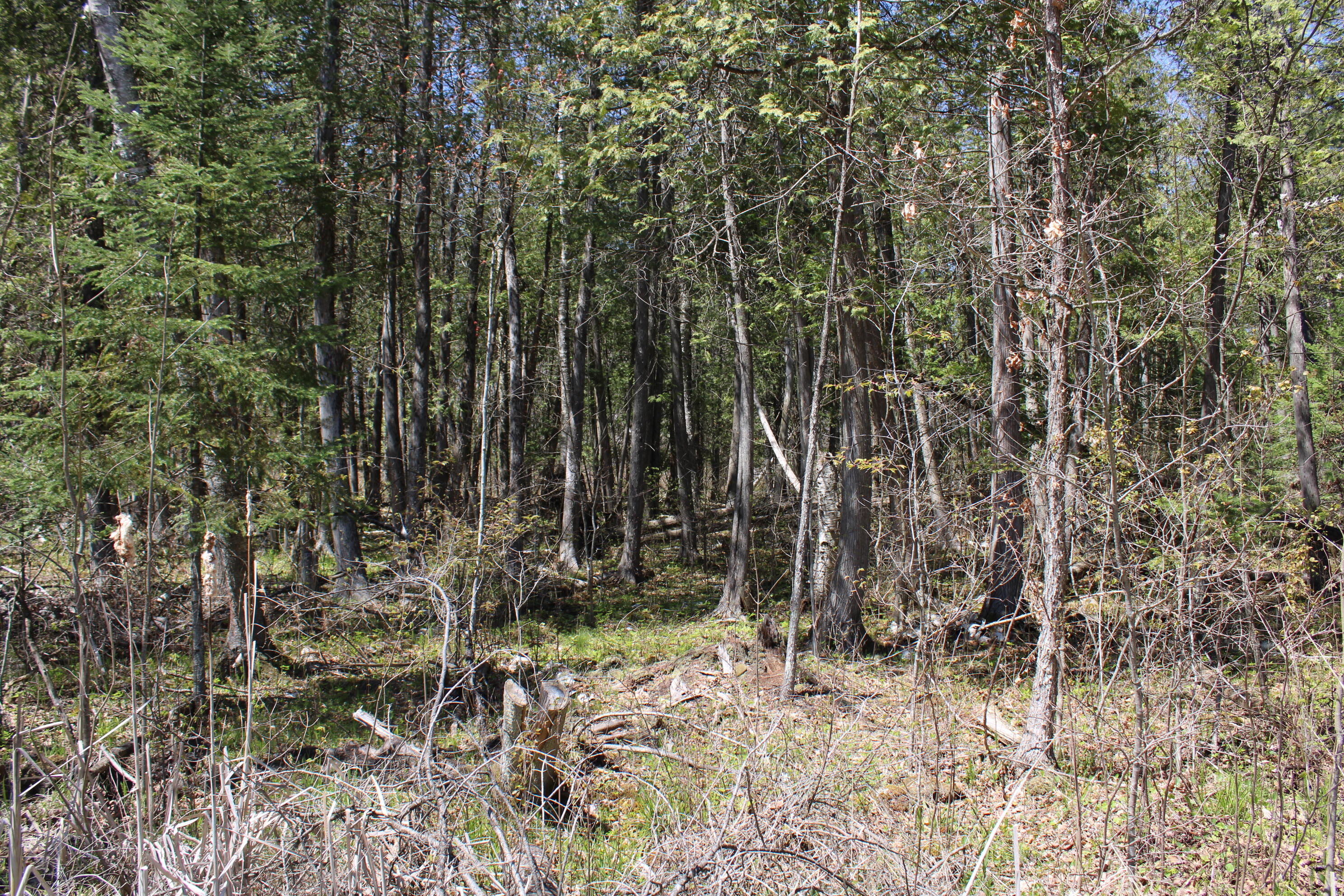 11401 Little George Lake Road Property Photo 74