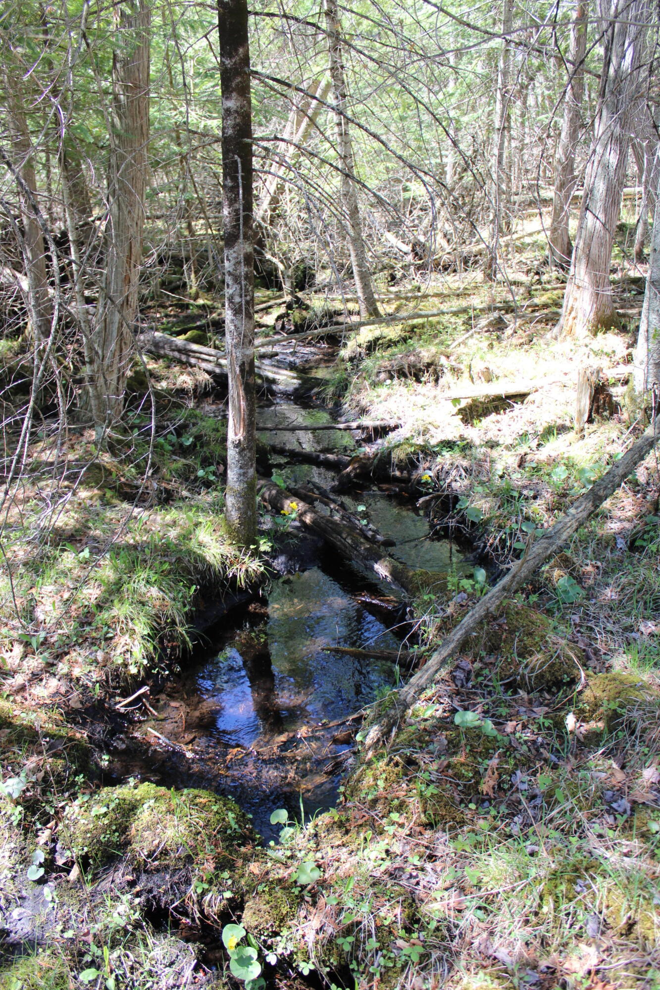 11401 Little George Lake Road Property Photo 75
