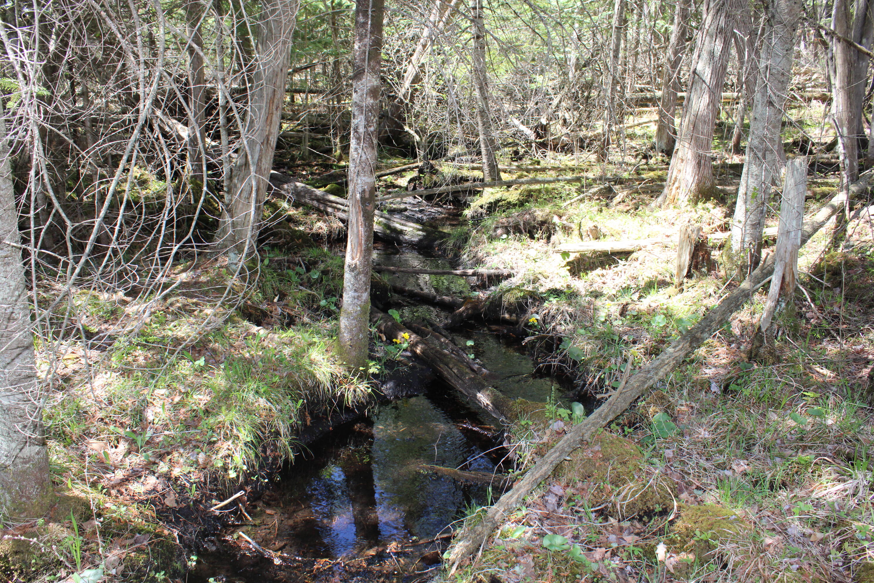 11401 Little George Lake Road Property Photo 76