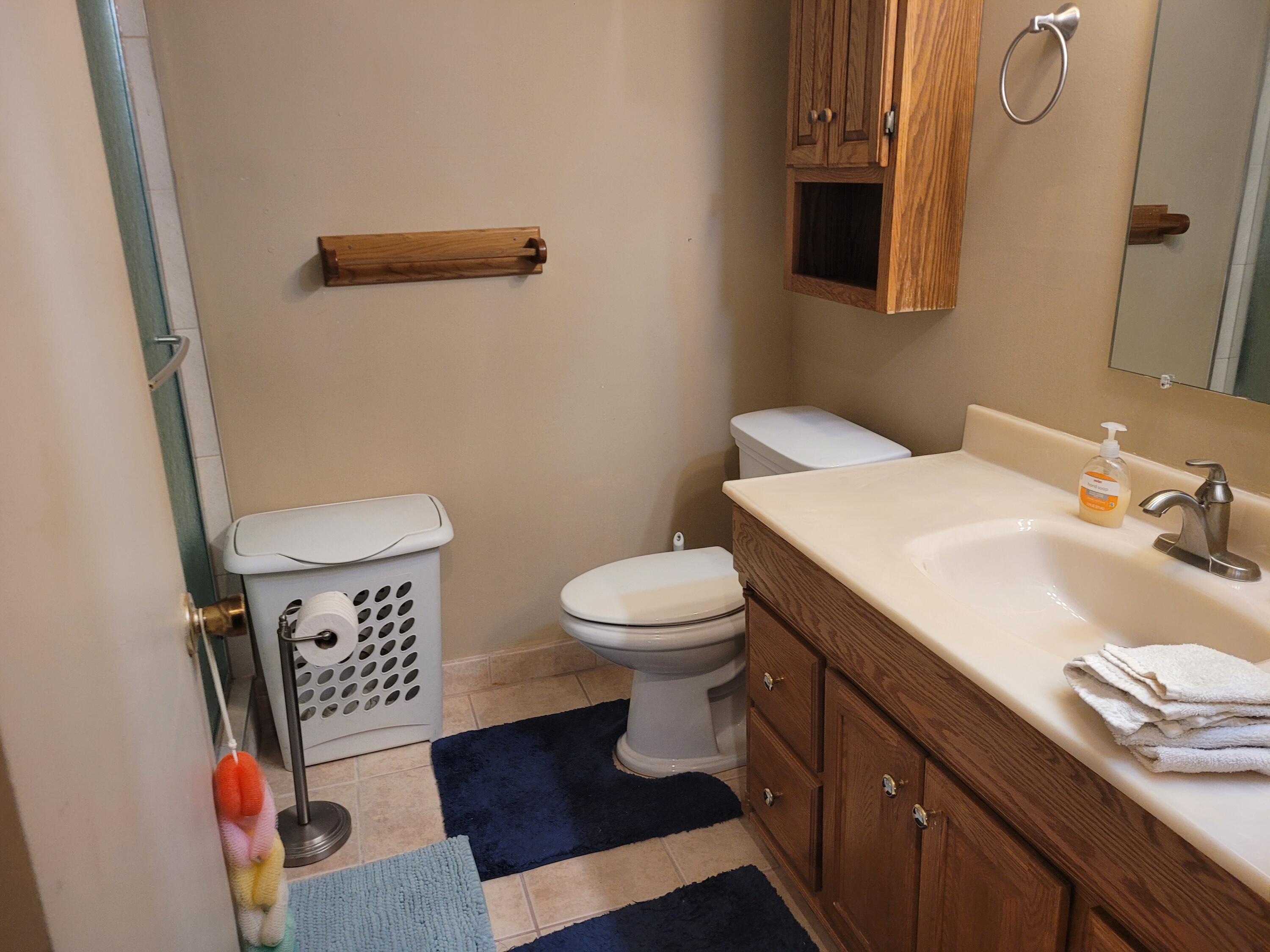 41276 N Woodbury Green Drive Property Photo 12
