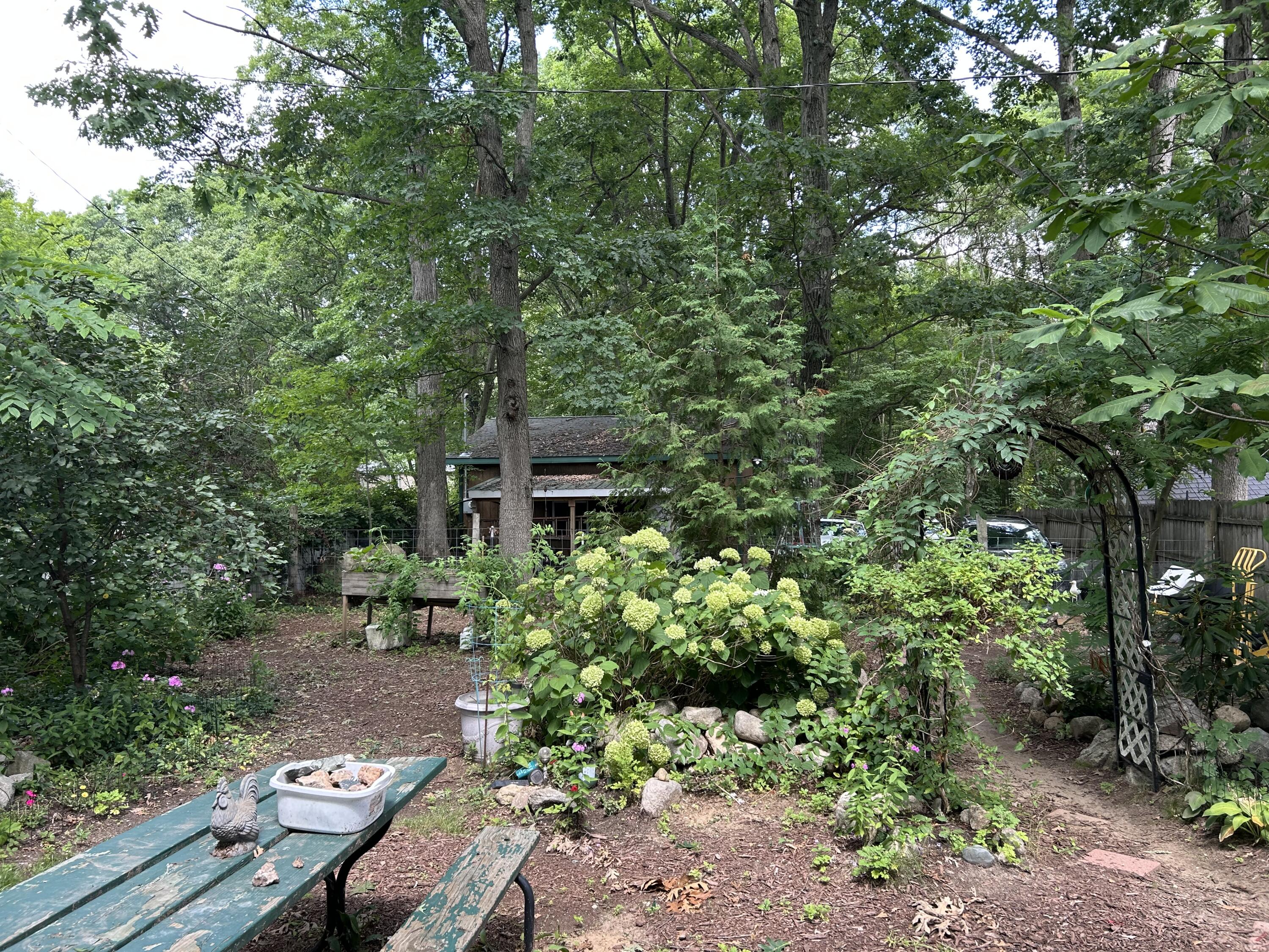 5289 High Tower Lake Road Property Photo 7