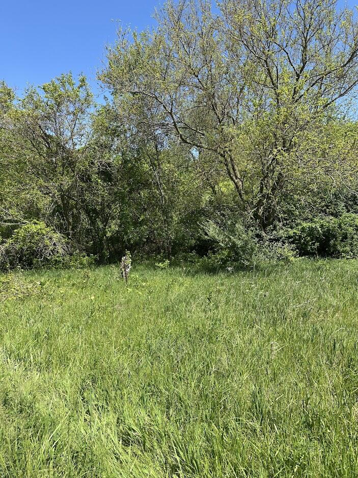 11630 Greenlawn Drive Property Photo 2
