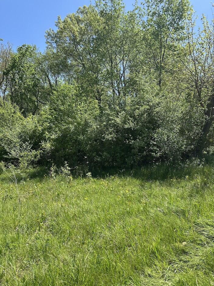 11630 Greenlawn Drive Property Photo 3