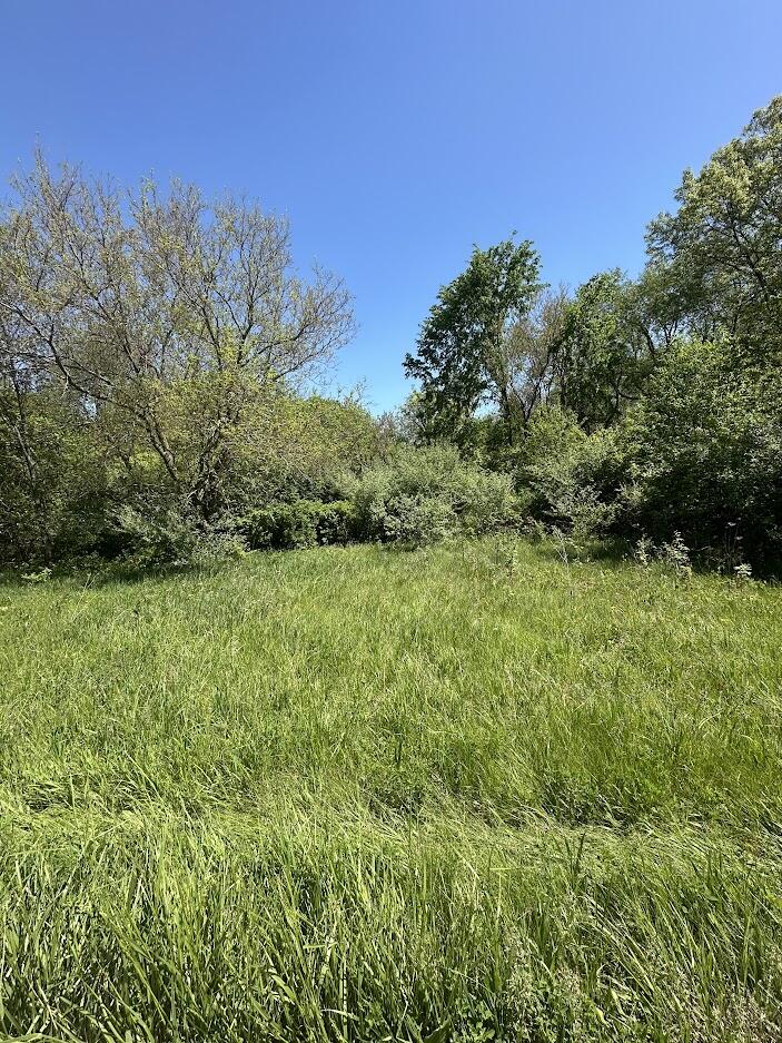 11630 Greenlawn Drive Property Photo 4