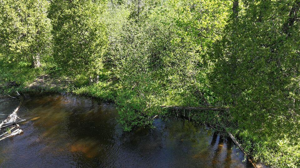 V/l E Pomeroy Springs Road Property Photo 8