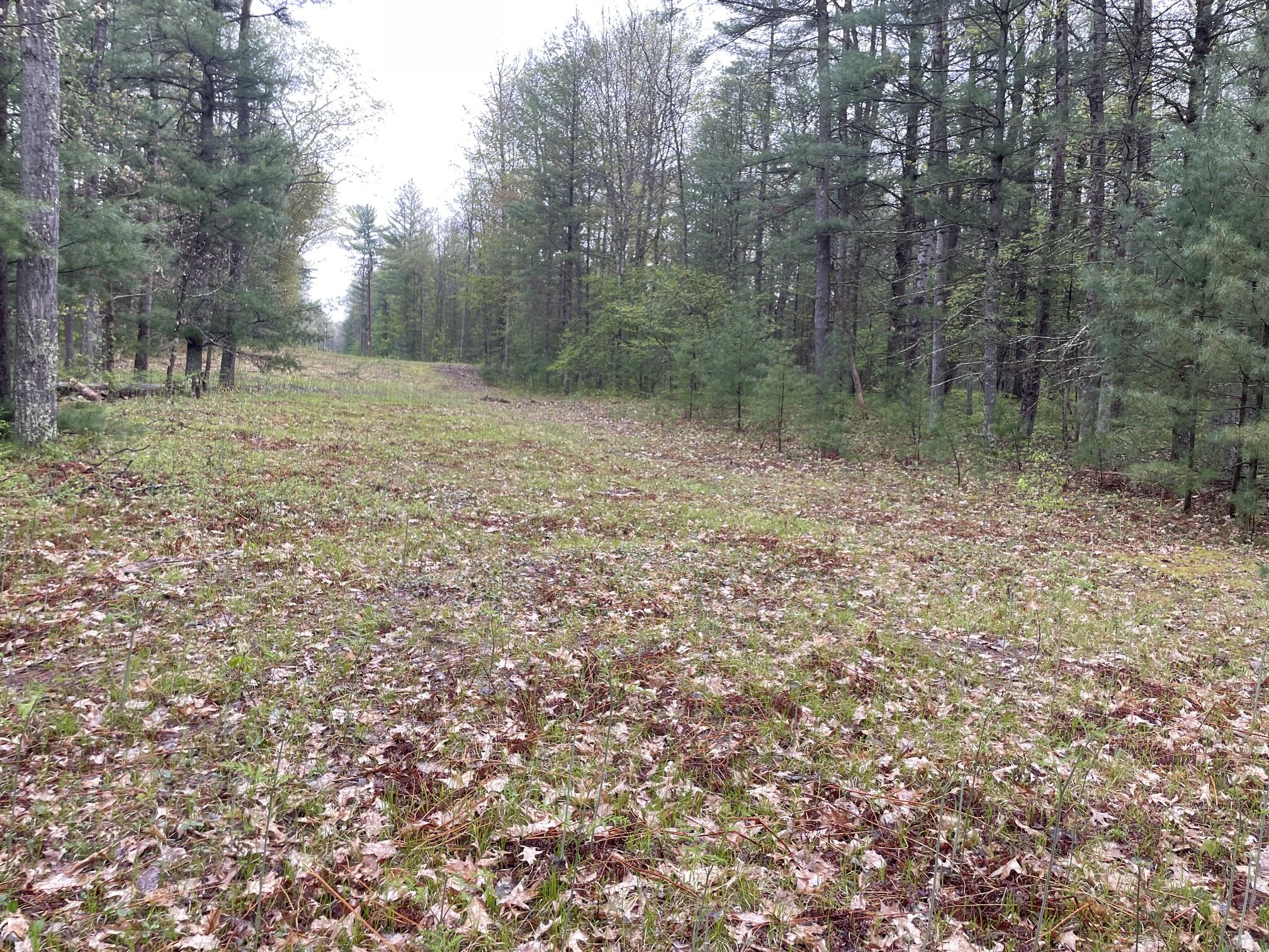 V/l E Pomeroy Springs Road Property Photo 14