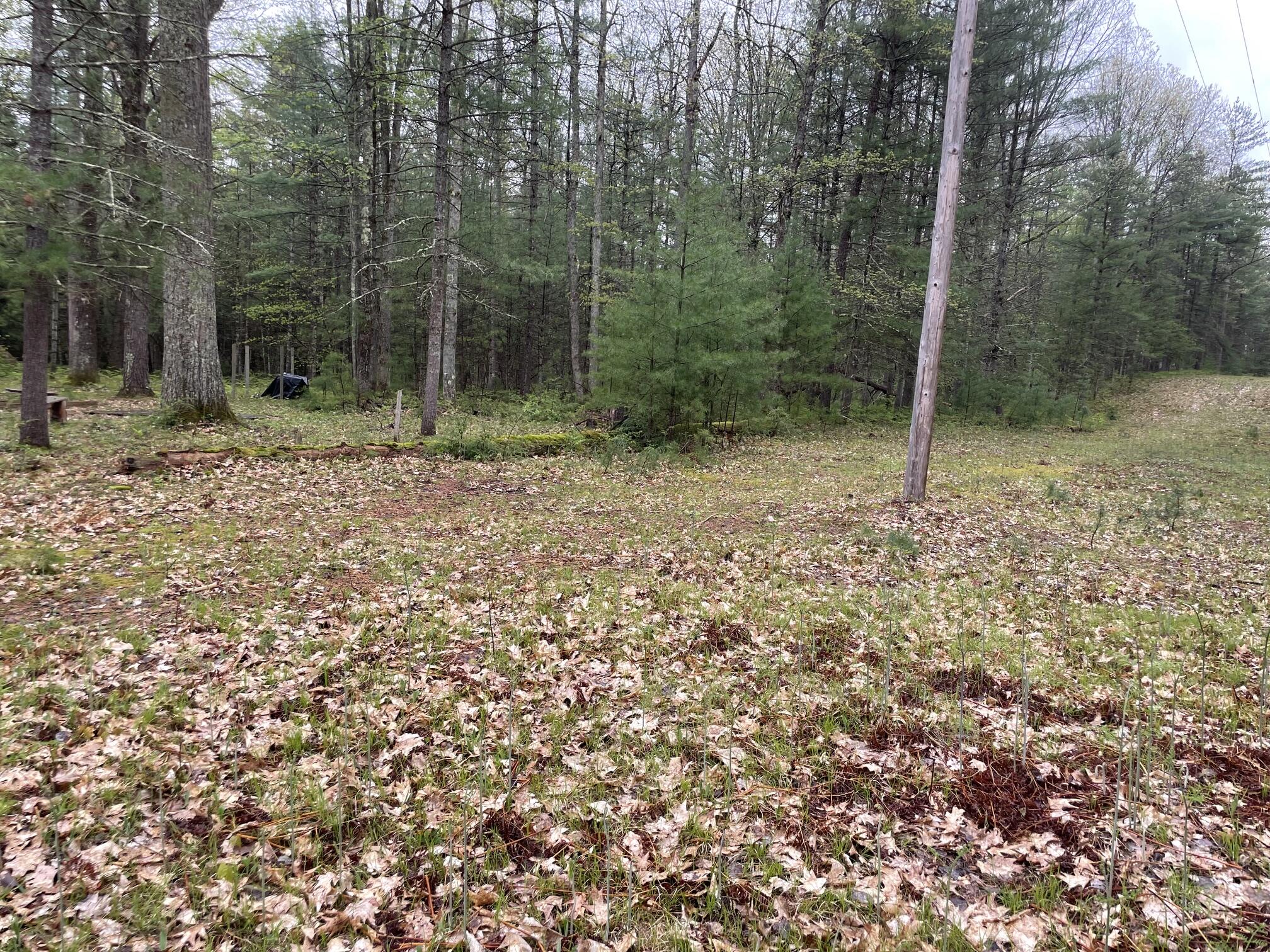 V/l E Pomeroy Springs Road Property Photo 15