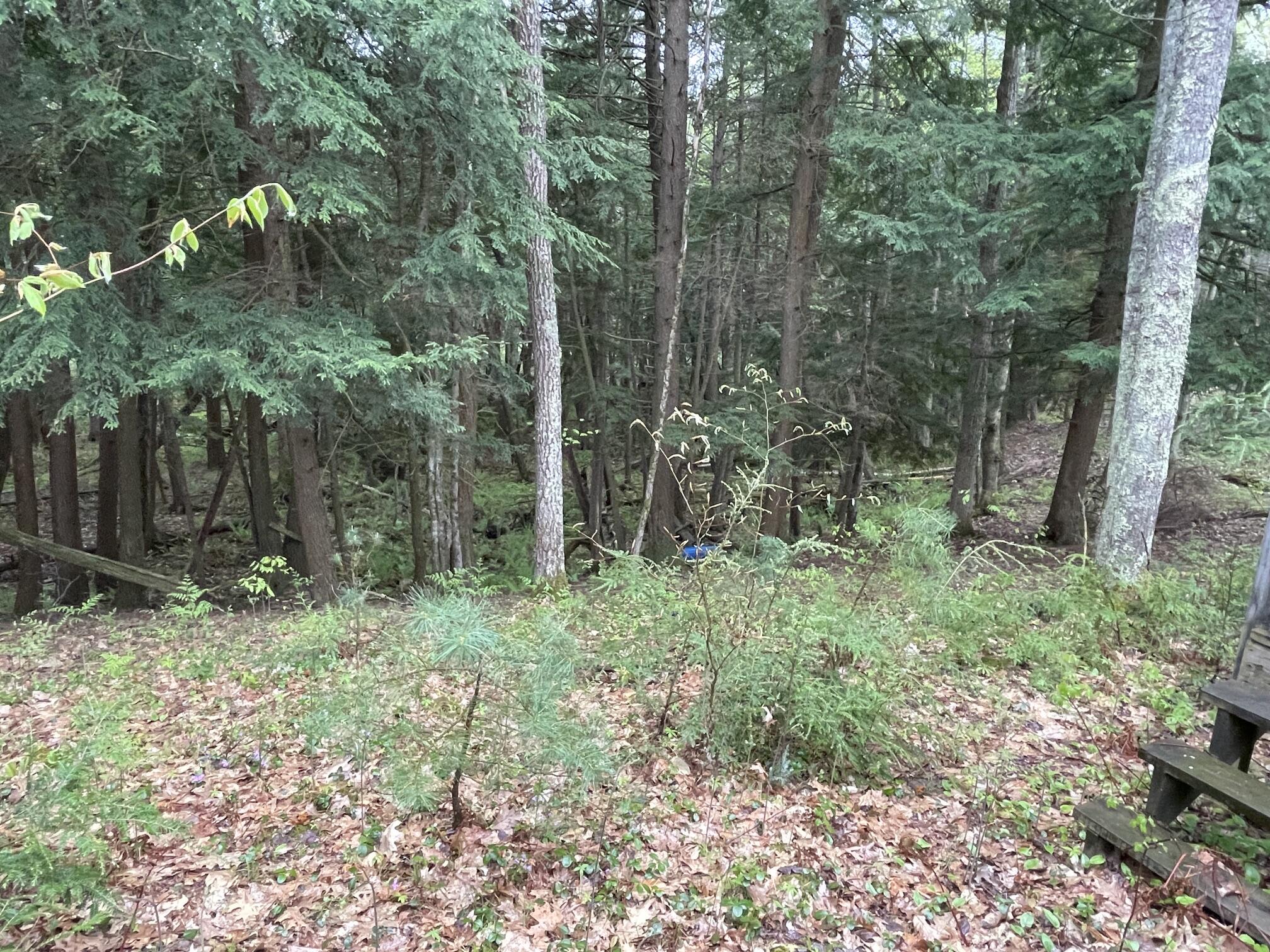V/l E Pomeroy Springs Road Property Photo 21