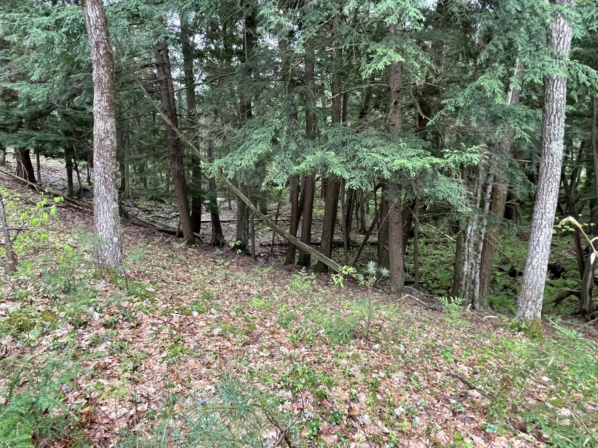 V/l E Pomeroy Springs Road Property Photo 22