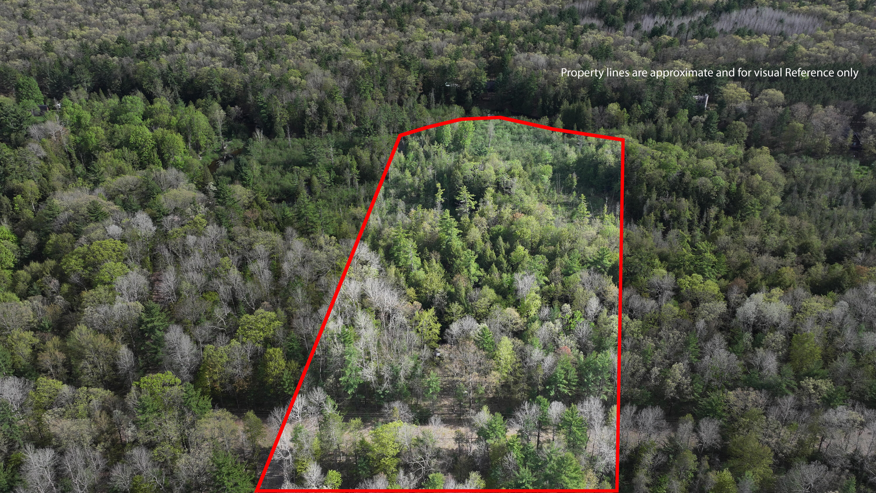 V/l E Pomeroy Springs Road Property Photo 27