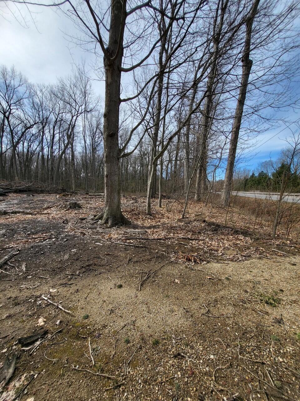 16351 Red Arrow Highway Property Photo 13