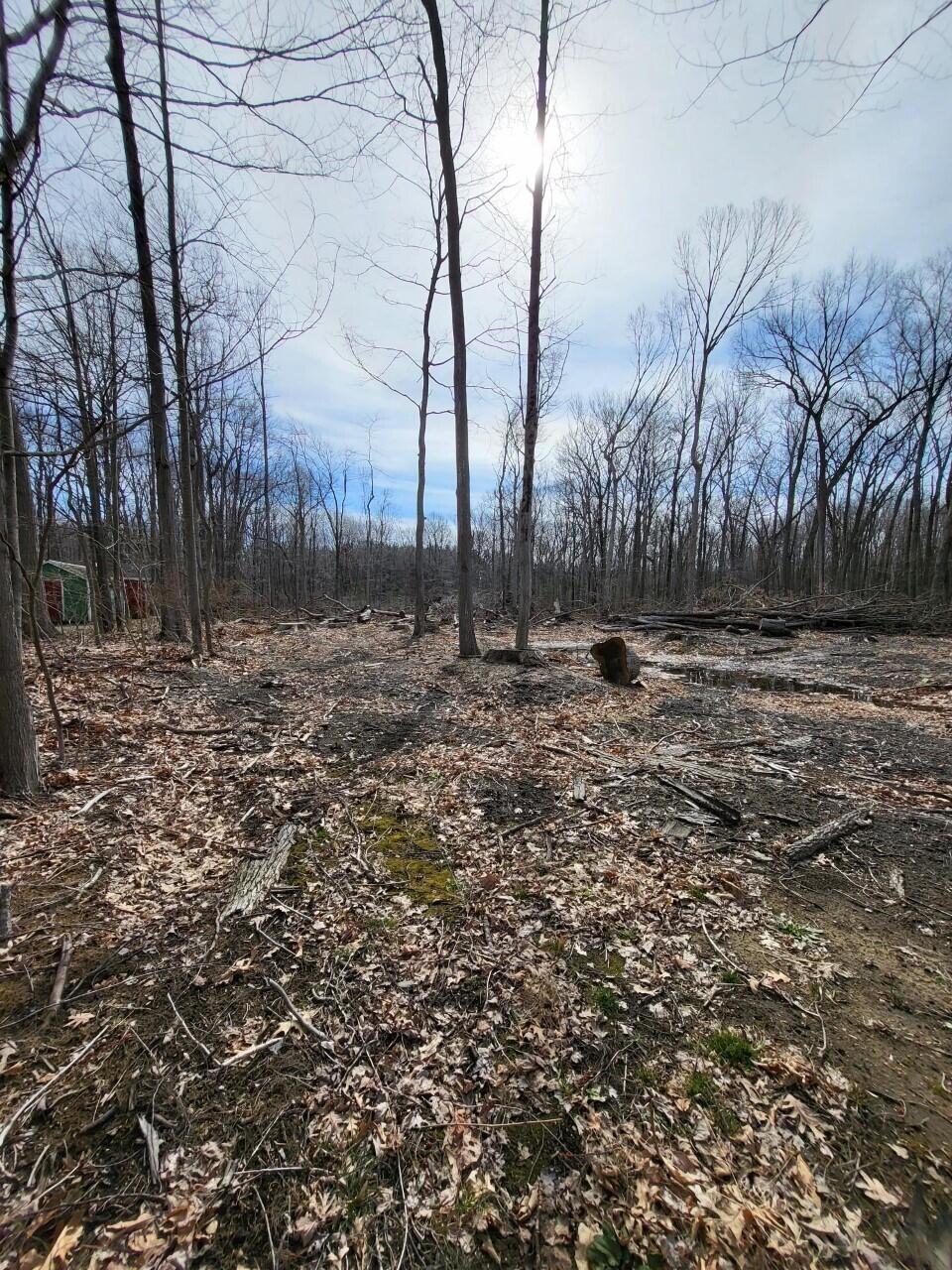 16351 Red Arrow Highway Property Photo 15