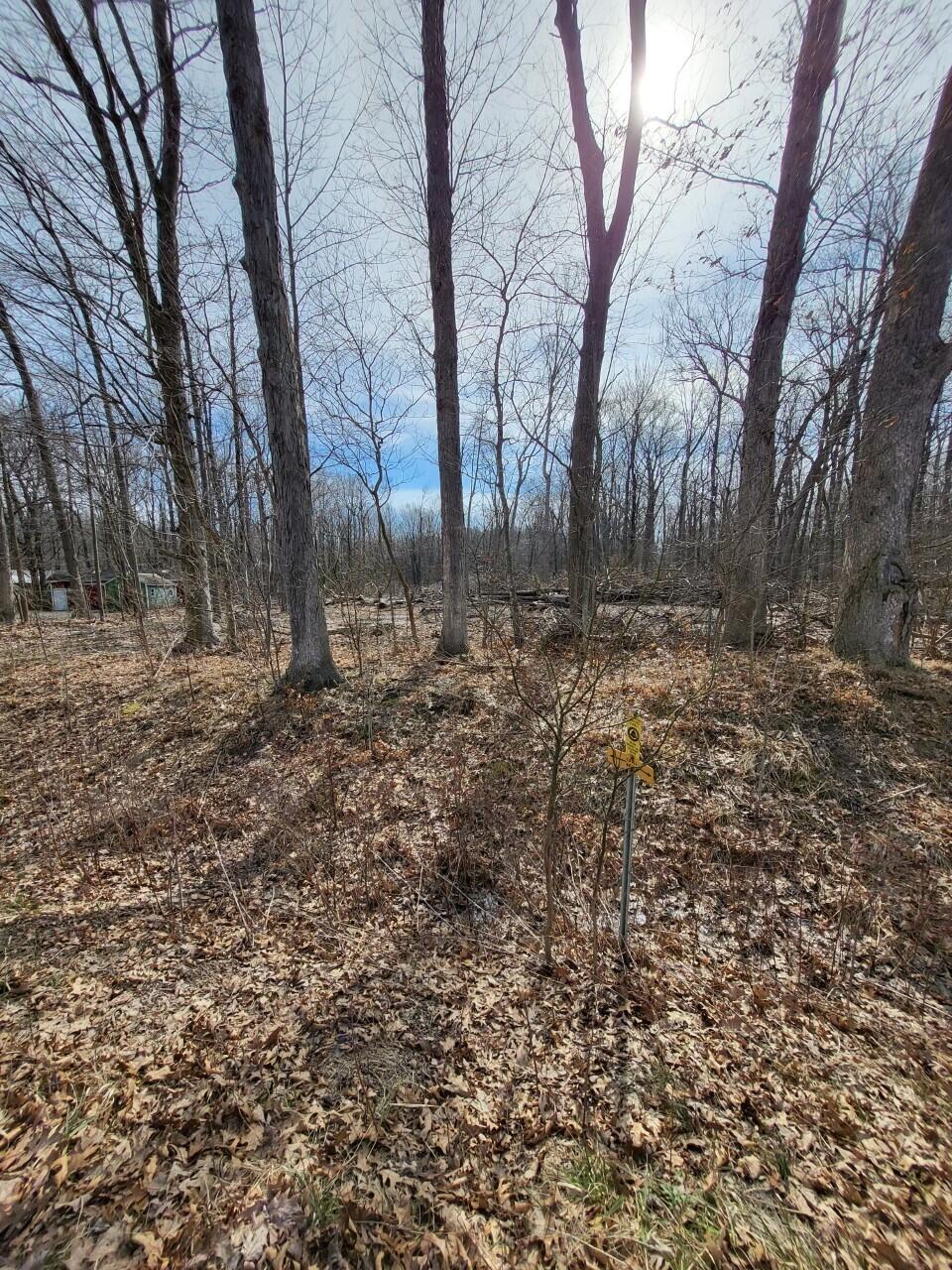 16351 Red Arrow Highway Property Photo 16