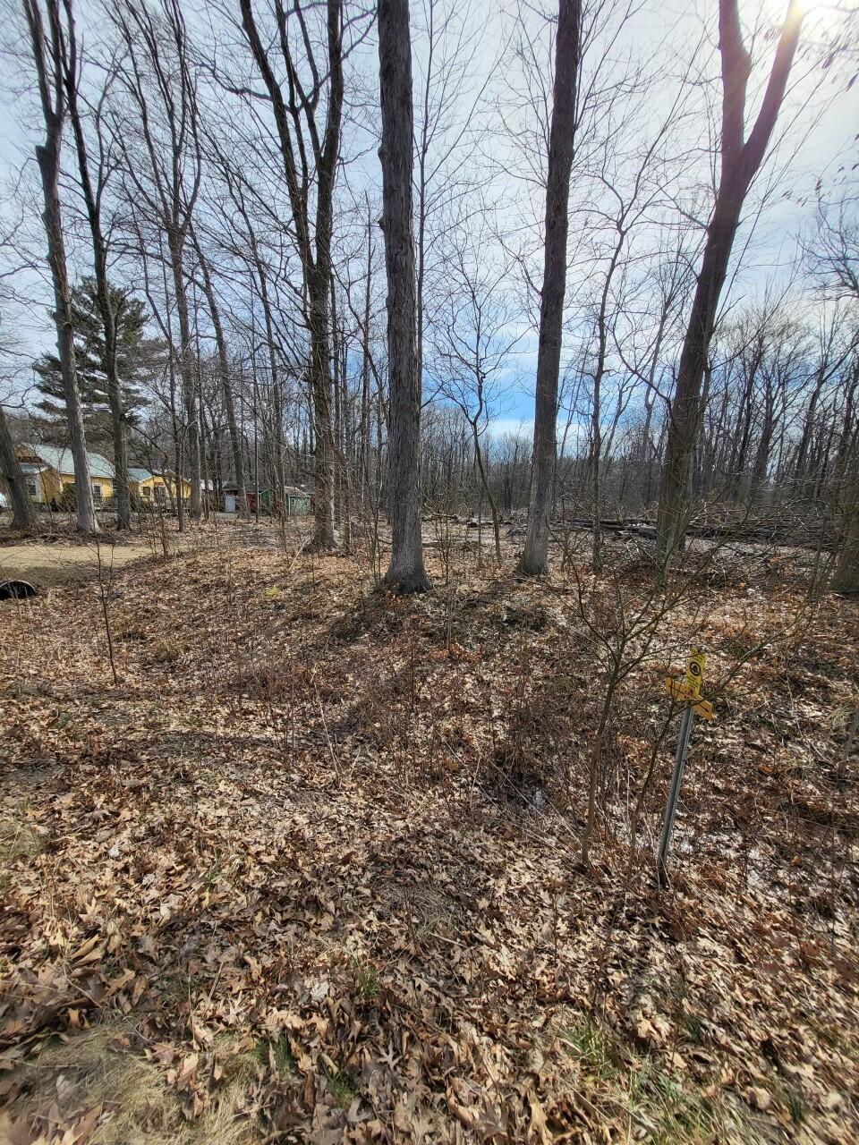 16351 Red Arrow Highway Property Photo 17