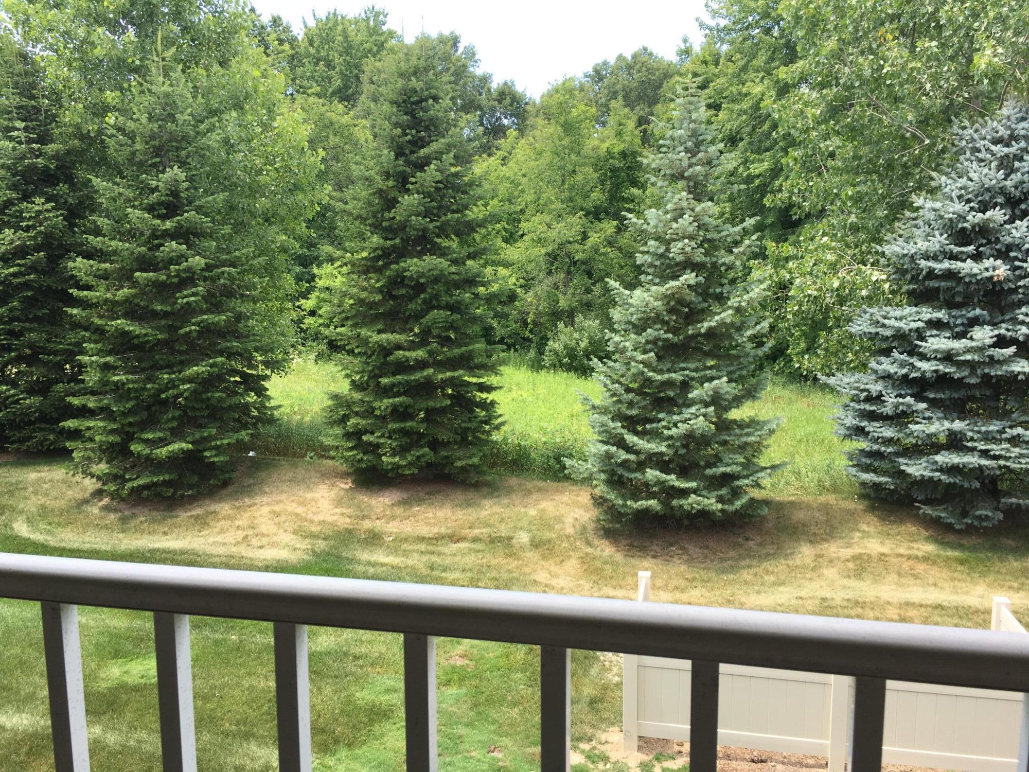 20209 Chesapeake Circle Property Photo 32