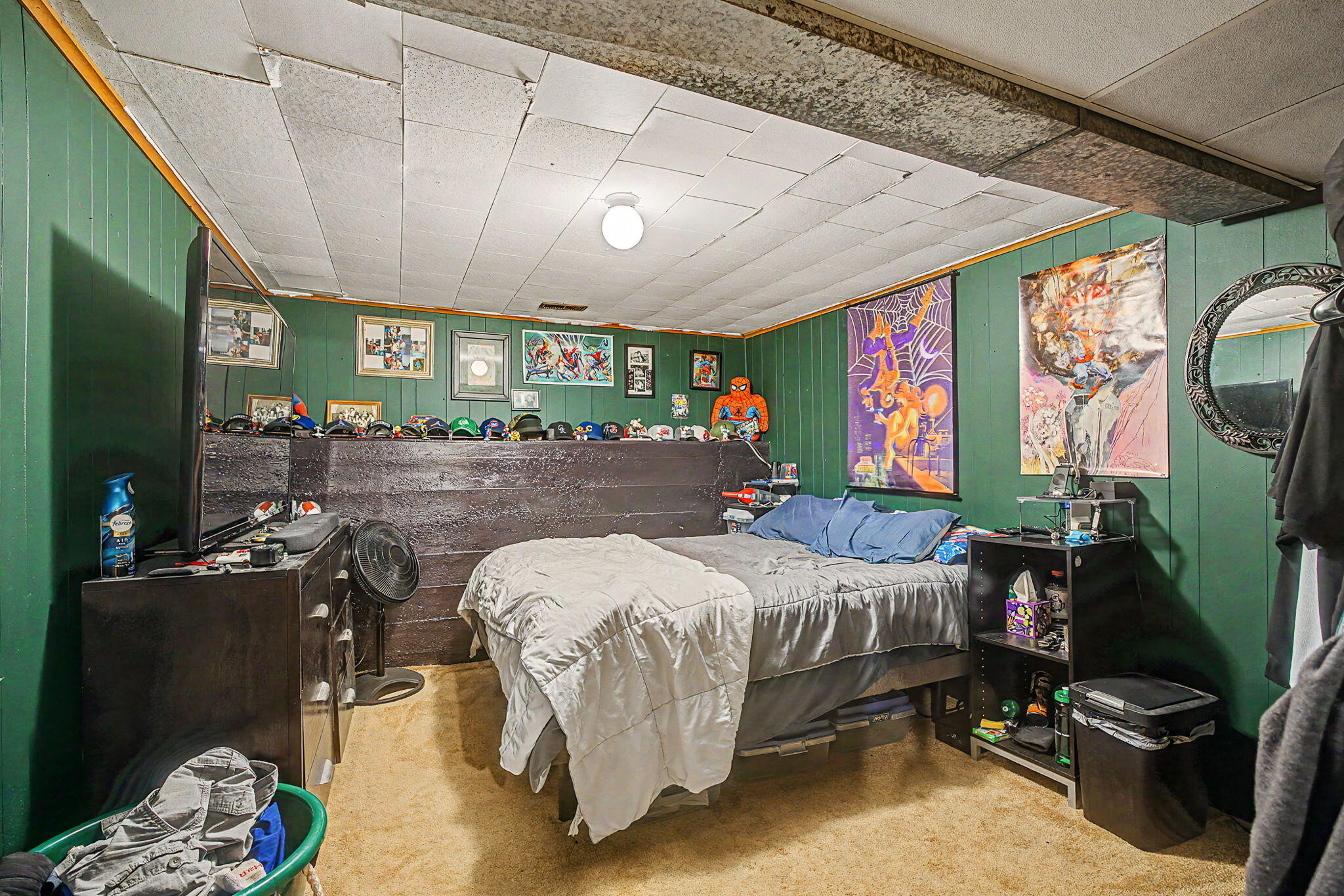 213 Palmer Street Property Photo 46