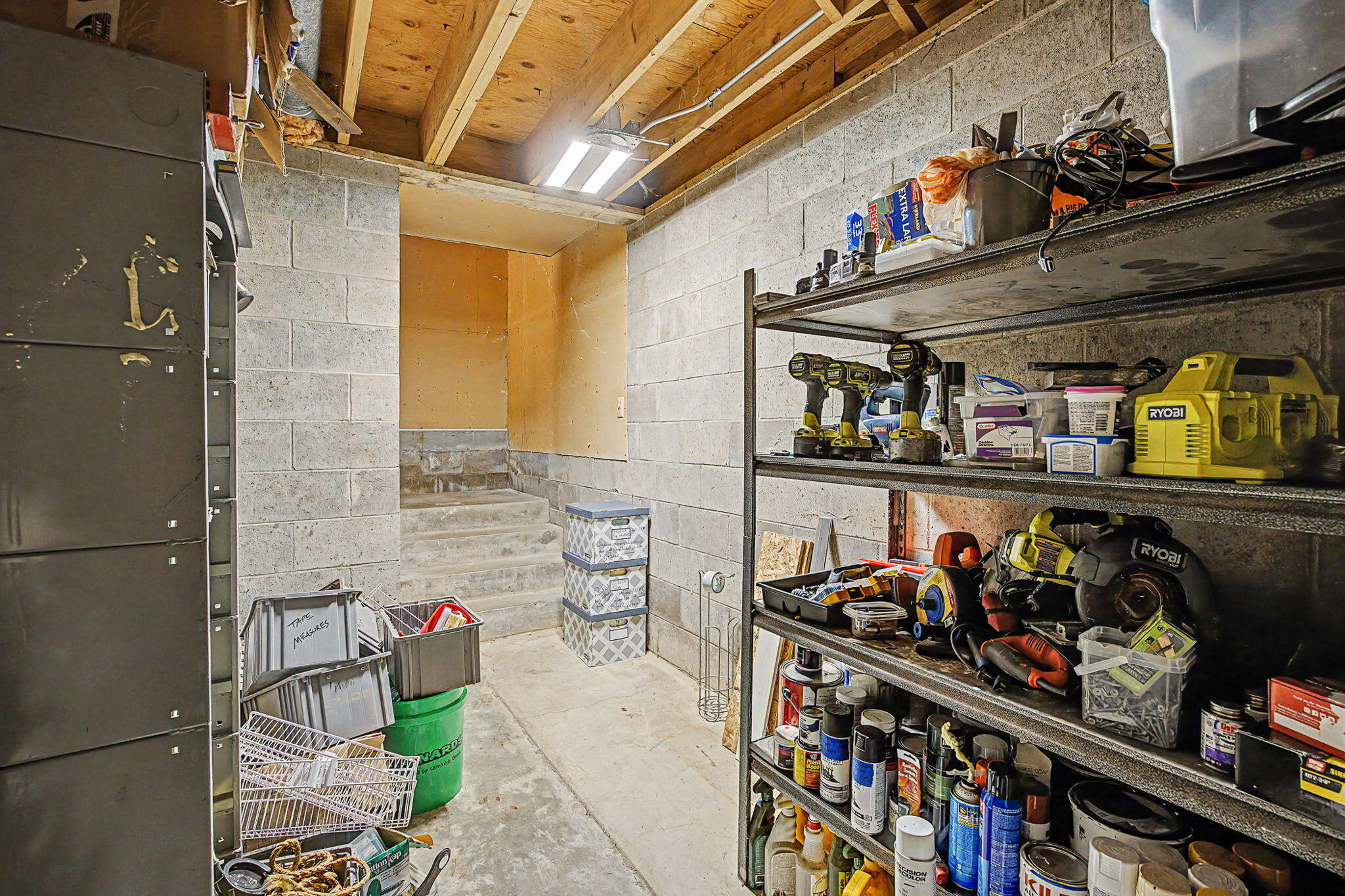 213 Palmer Street Property Photo 52