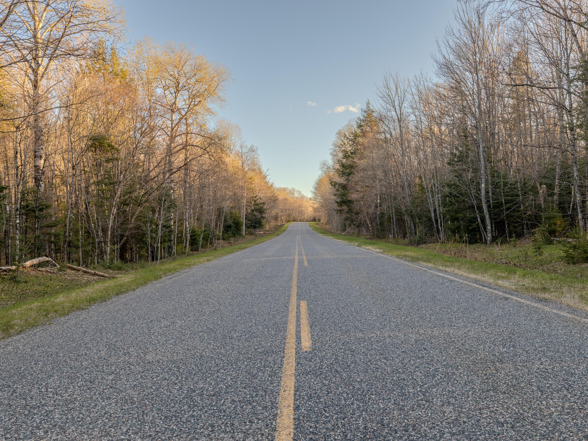 Lot 3 Federal Forest Highway 16 Property Photo 4