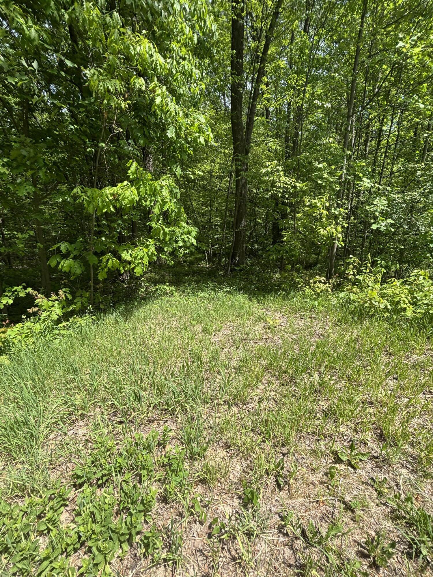 Wildwood Road Property Photo 7