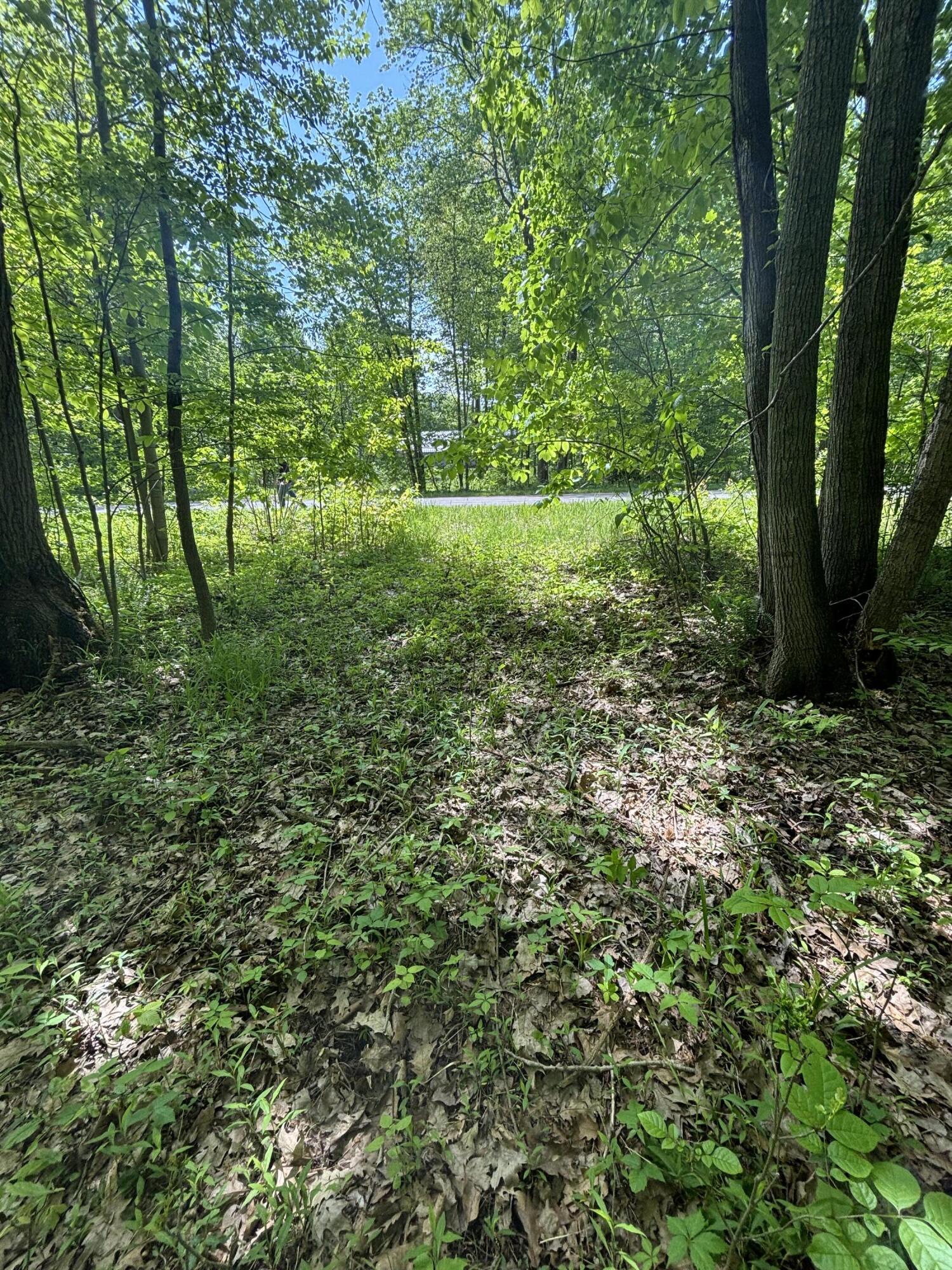 Wildwood Road Property Photo 8