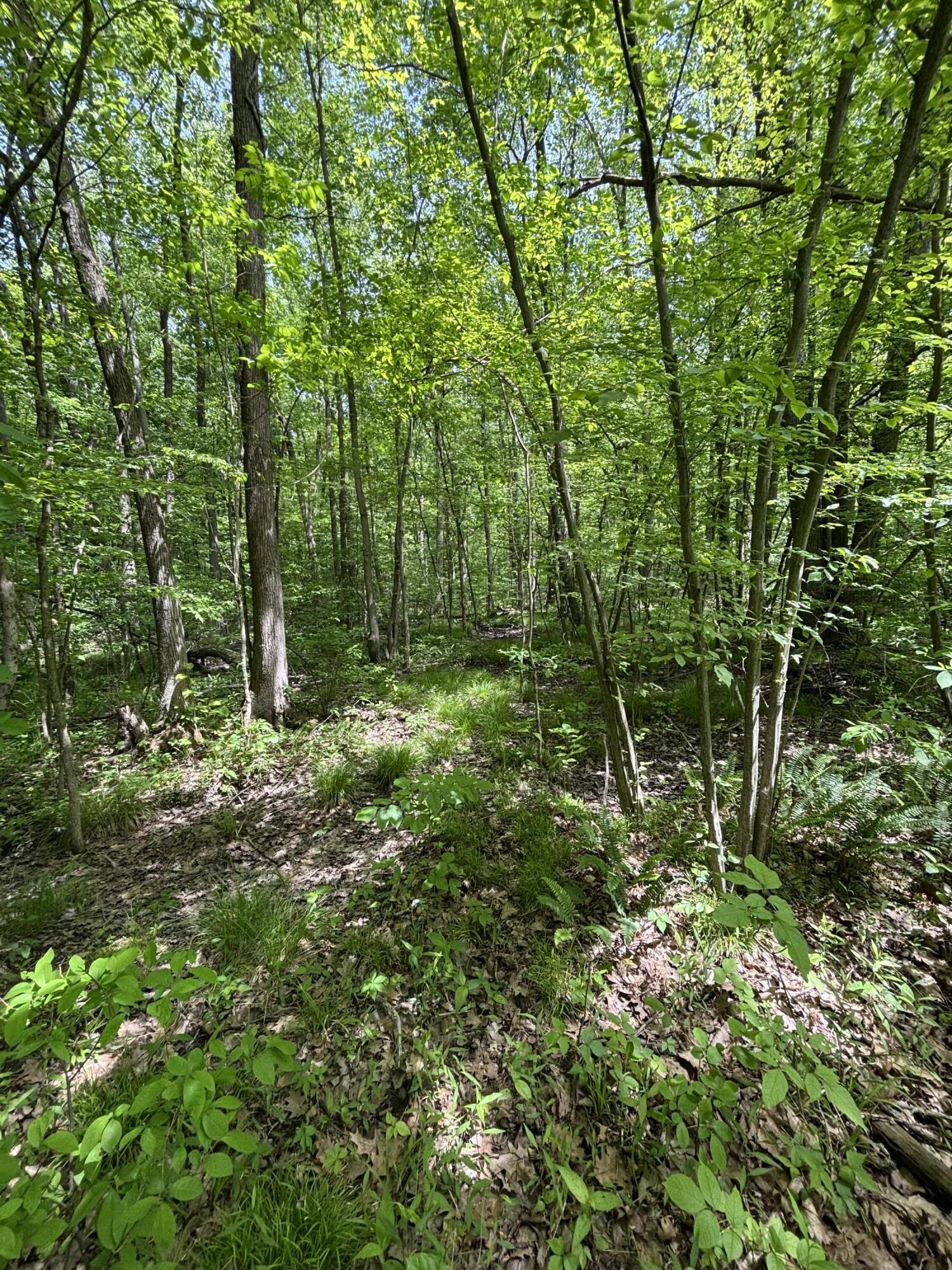 Wildwood Road Property Photo 9
