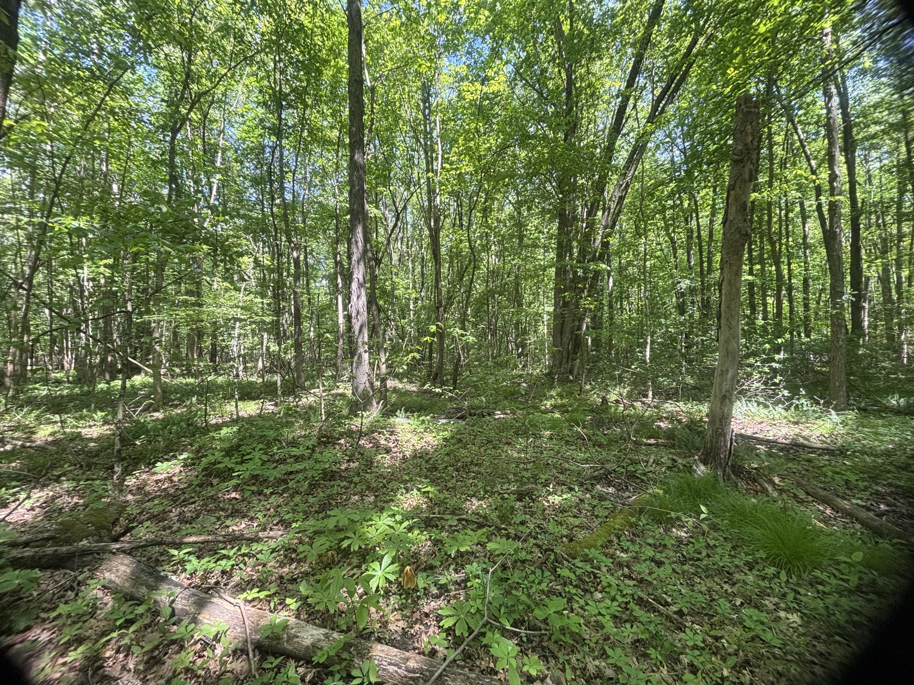 Wildwood Road Property Photo 13