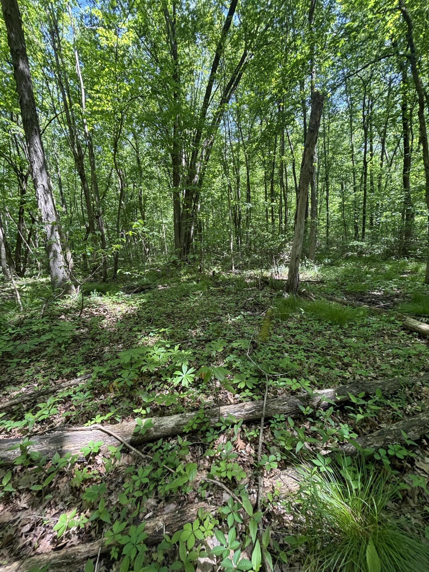 Wildwood Road Property Photo 14