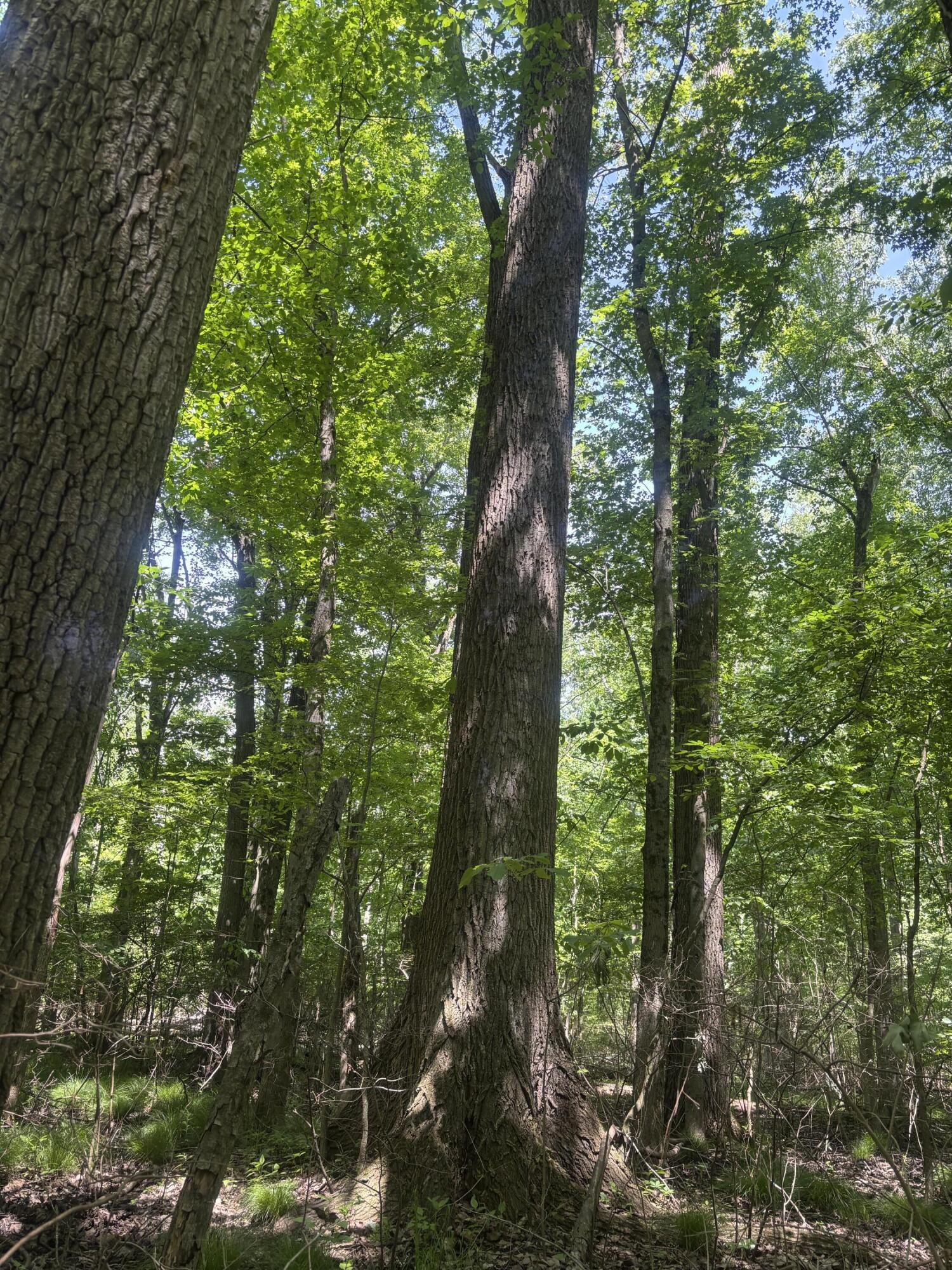 Wildwood Road Property Photo 18