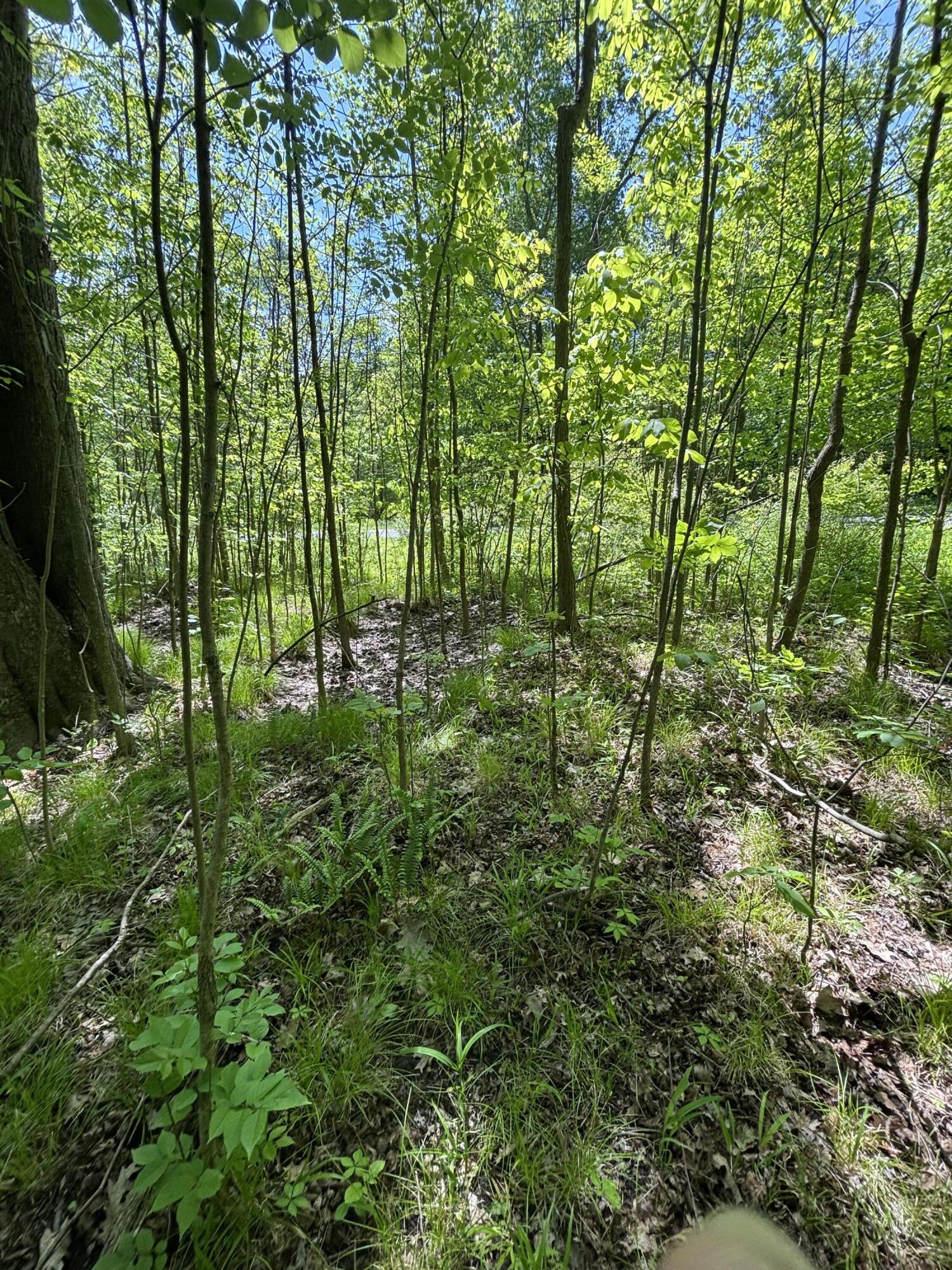 Wildwood Road Property Photo 20
