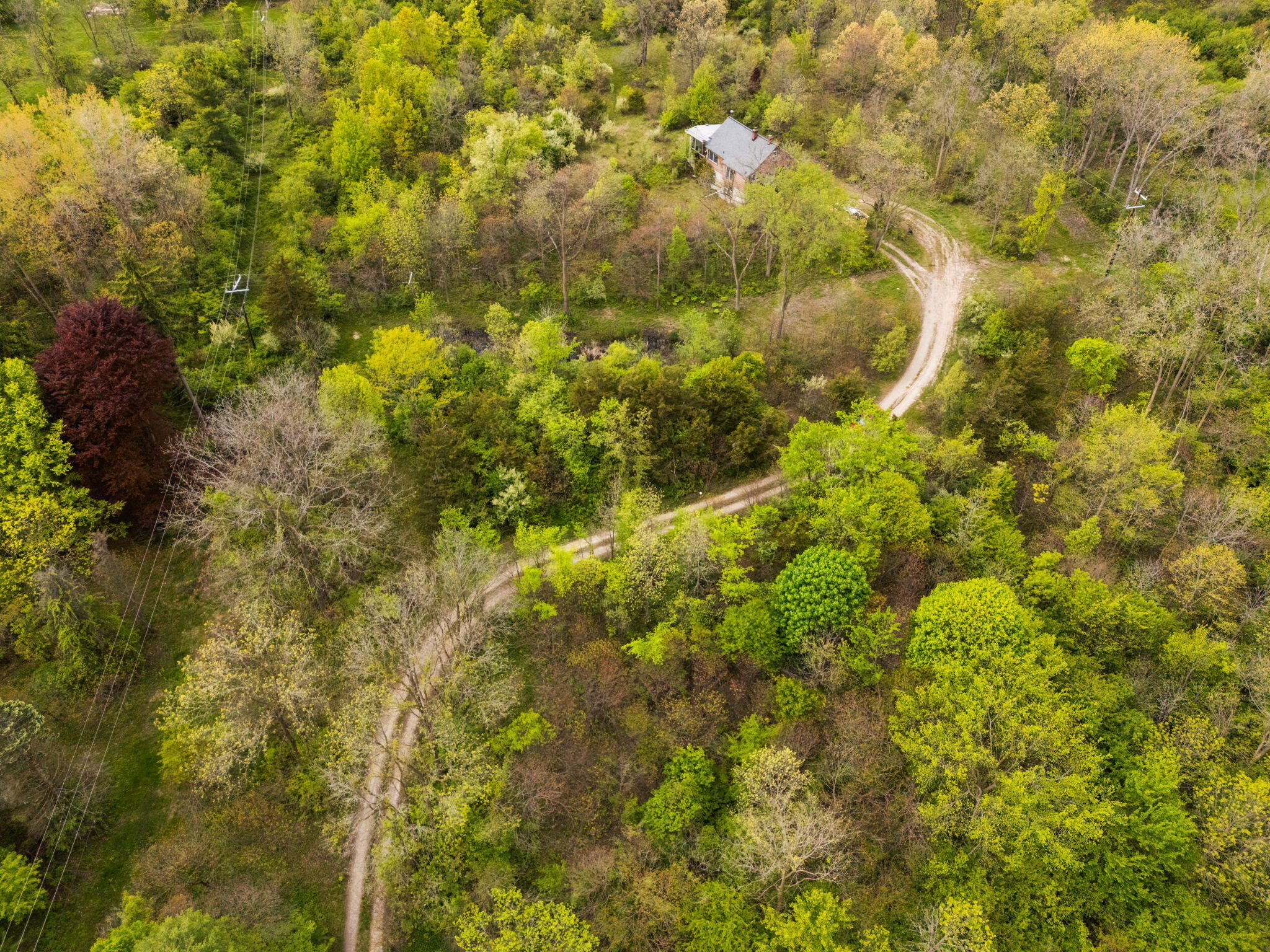 2203 Hickman Road Property Photo 1