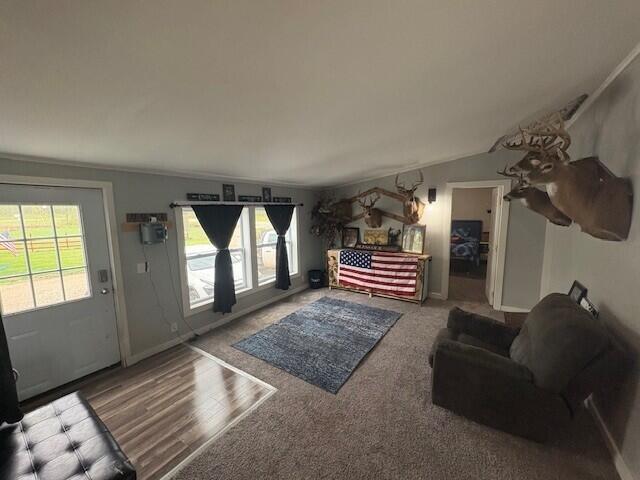 3775 16 Mile Property Photo 11