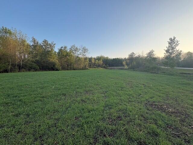 3775 16 Mile Property Photo 36