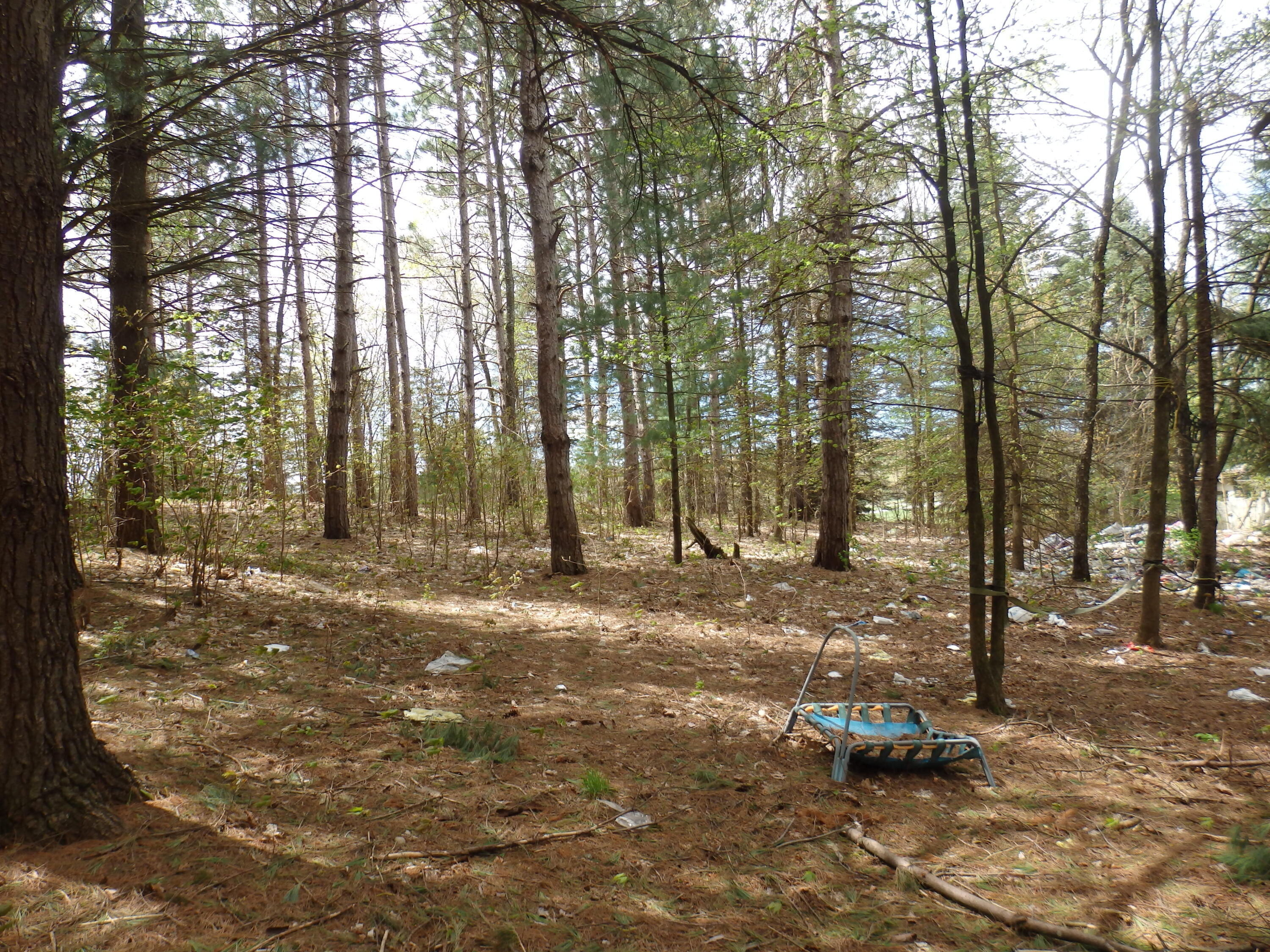 20192 9 Mile Road